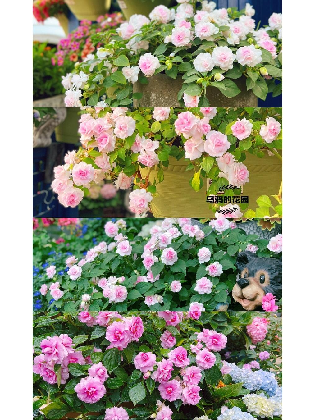 https://static.ixuenong.com/pxn/uploads/prod/thirdfile/2024/12/570c9ba39d9e10fd130fa825363e90e4.jpg