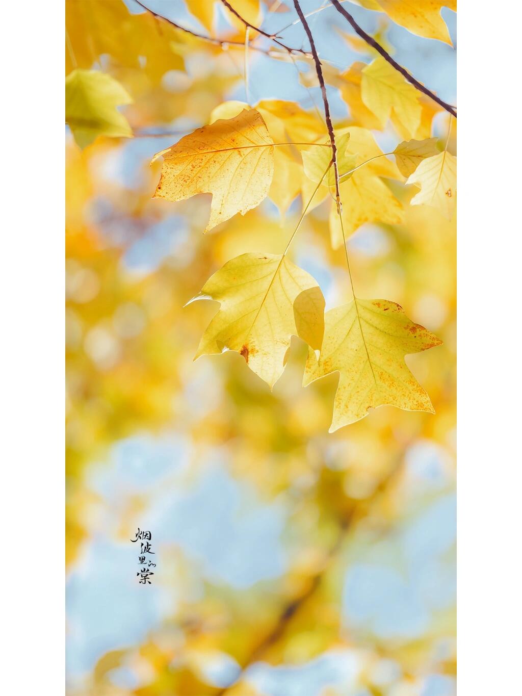 https://static.ixuenong.com/pxn/uploads/prod/thirdfile/2024/12/5d5e180e15716cd29089e8656a776e4c.jpg