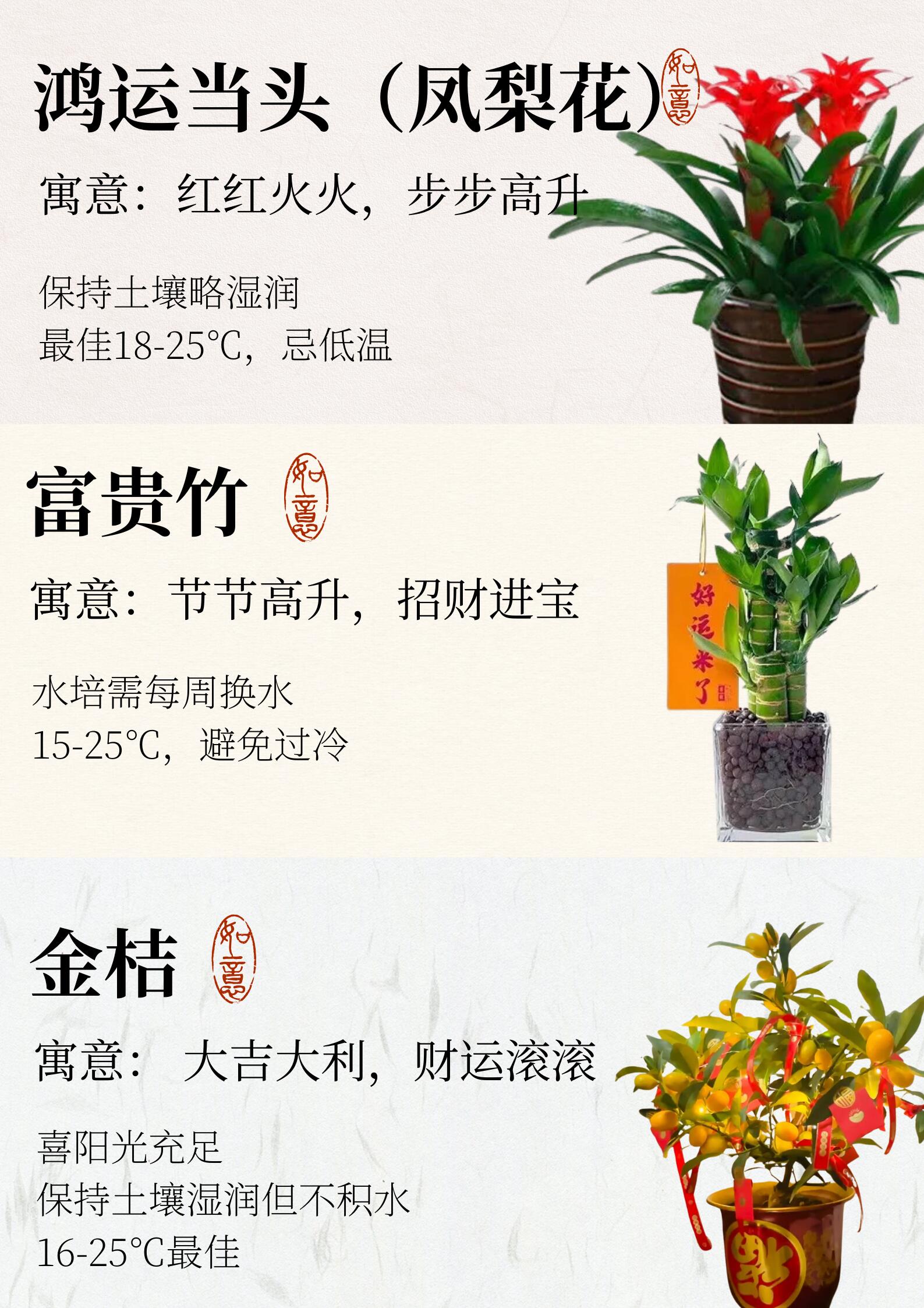 https://static.ixuenong.com/pxn/uploads/prod/thirdfile/2024/12/659fb74eb0a7d2ccff1e504b206eefed.jpg