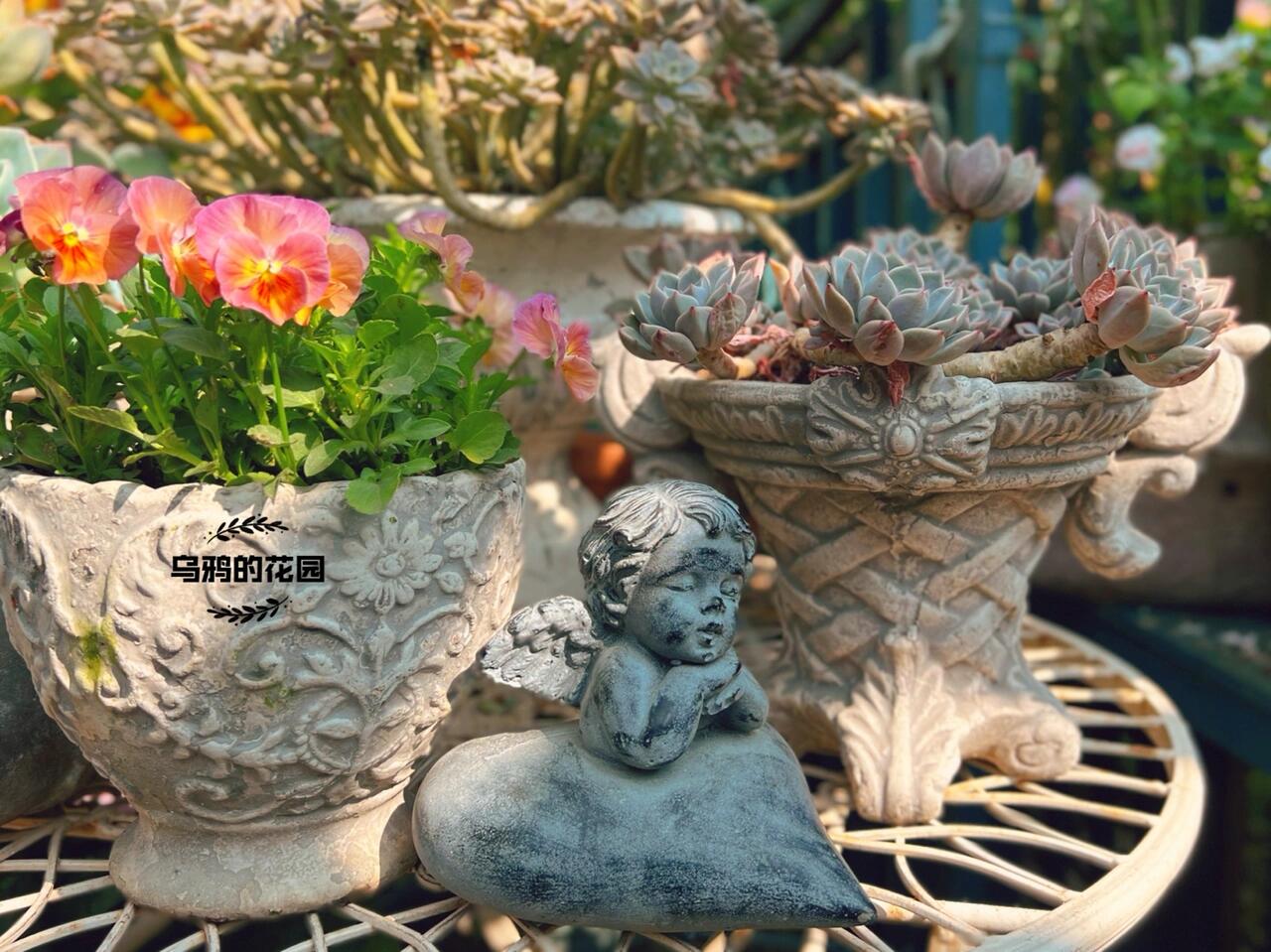 https://static.ixuenong.com/pxn/uploads/prod/thirdfile/2024/12/6d088e77862ee936542e4d0edf7716db.jpg