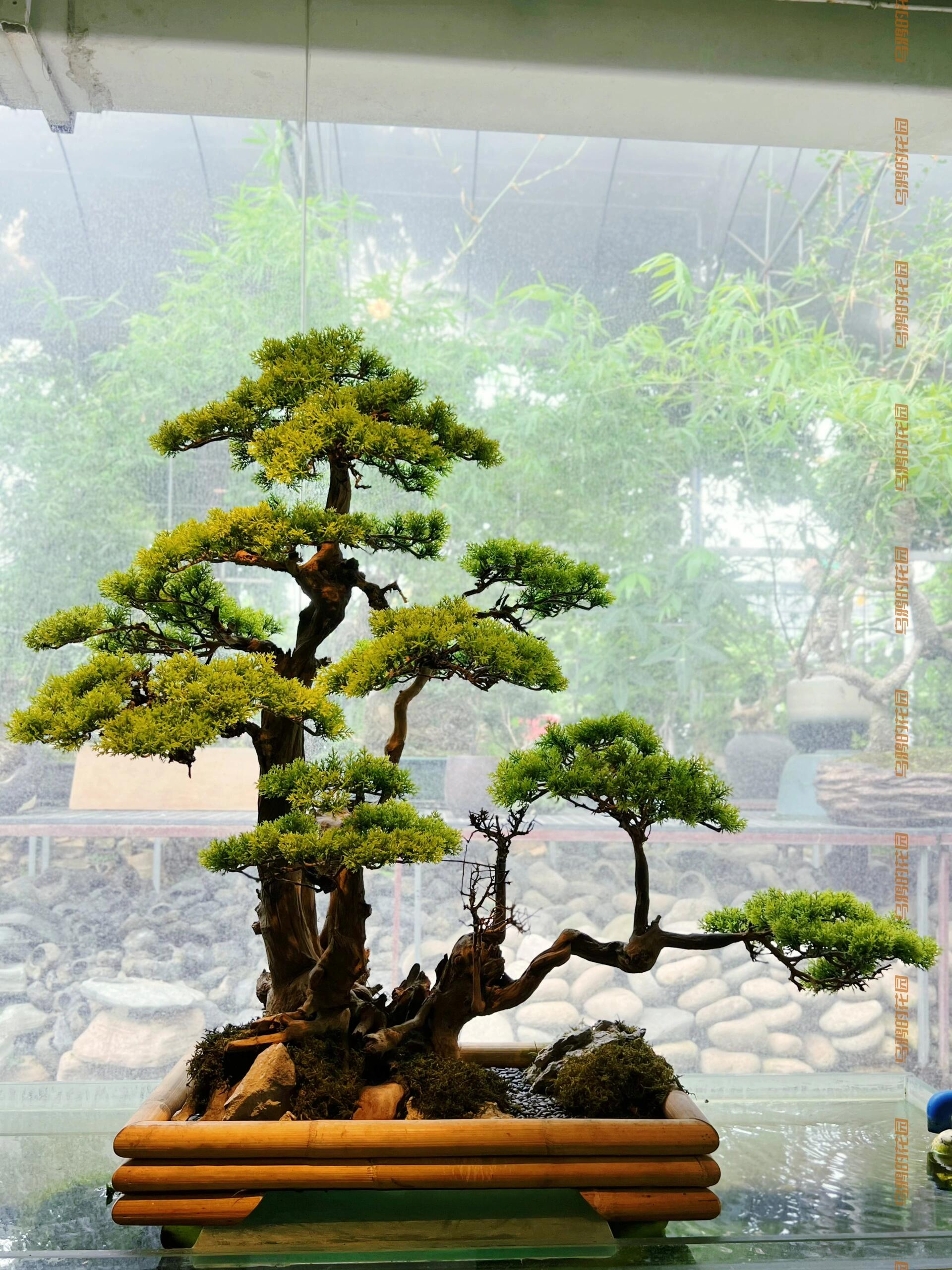 https://static.ixuenong.com/pxn/uploads/prod/thirdfile/2024/12/6de709d924ca74a464ad9e809ed7e696.jpg
