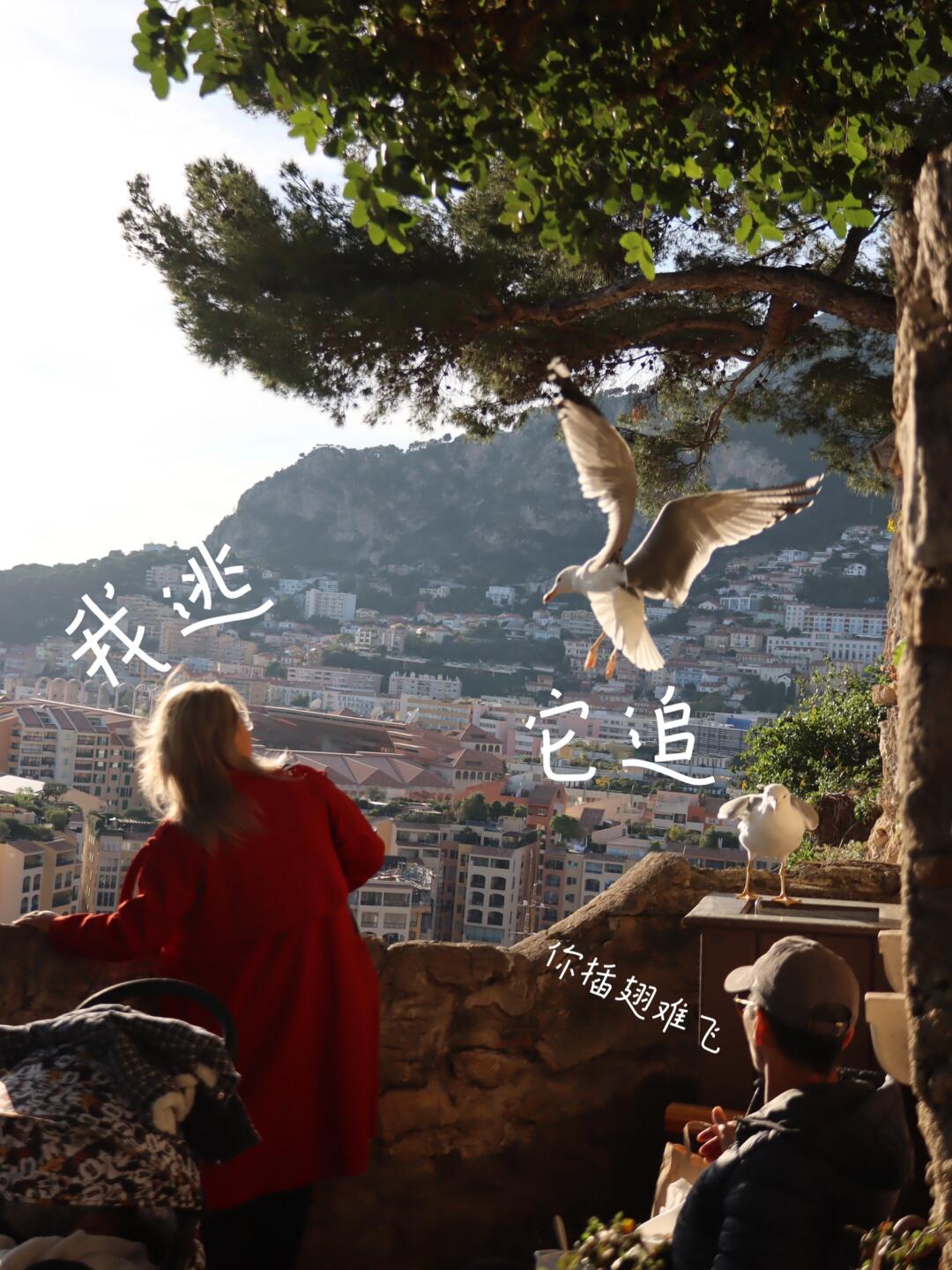 https://static.ixuenong.com/pxn/uploads/prod/thirdfile/2024/12/701da41cce9ab522a6ed0be3ead12e57.jpg
