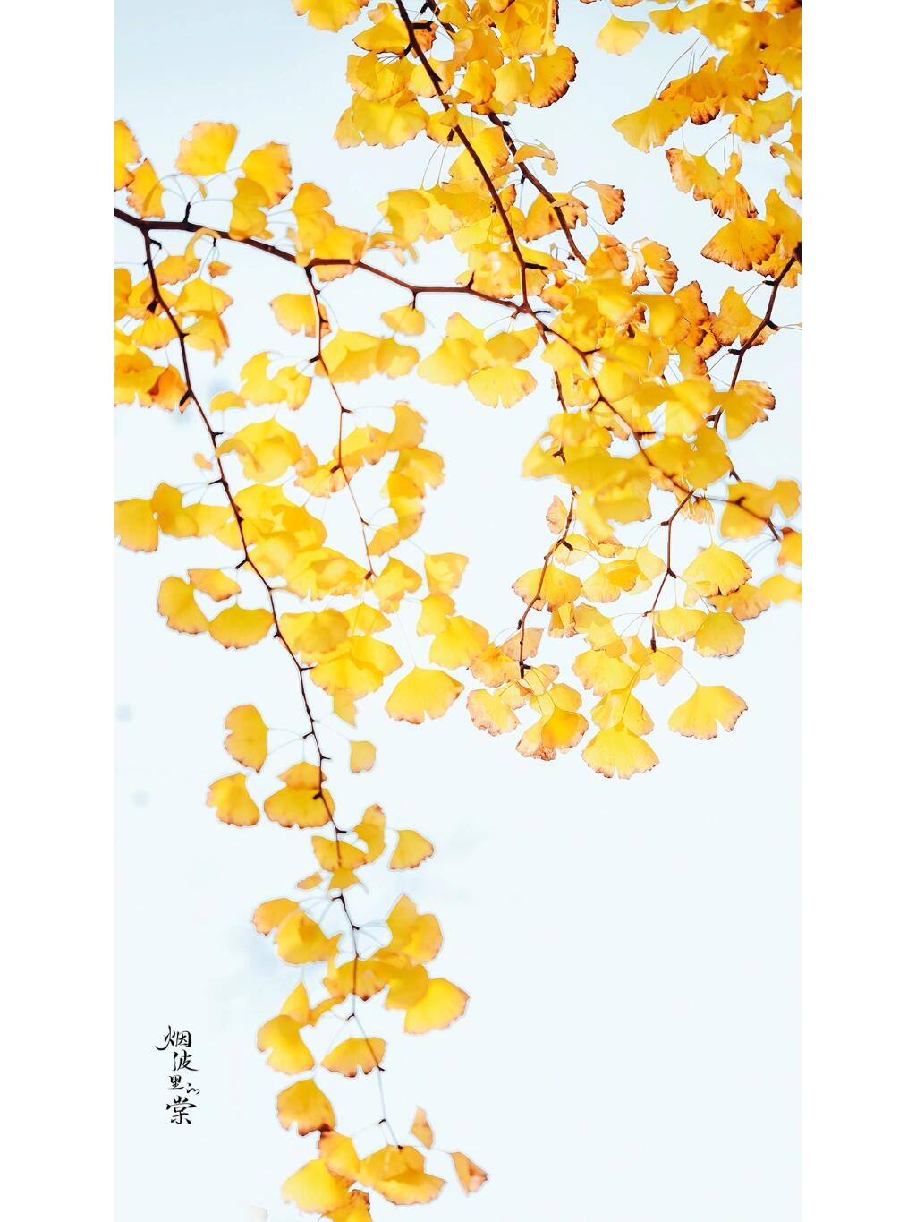 https://static.ixuenong.com/pxn/uploads/prod/thirdfile/2024/12/7780d084b24f4088d13f954bc1c745b3.jpg