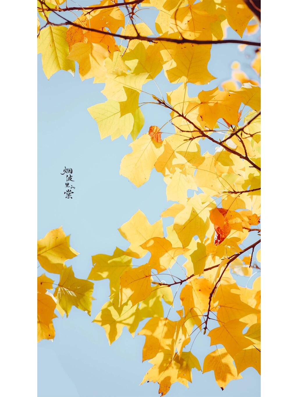 https://static.ixuenong.com/pxn/uploads/prod/thirdfile/2024/12/7d0c28df4740f69e1c52f37d512c4b4c.jpg