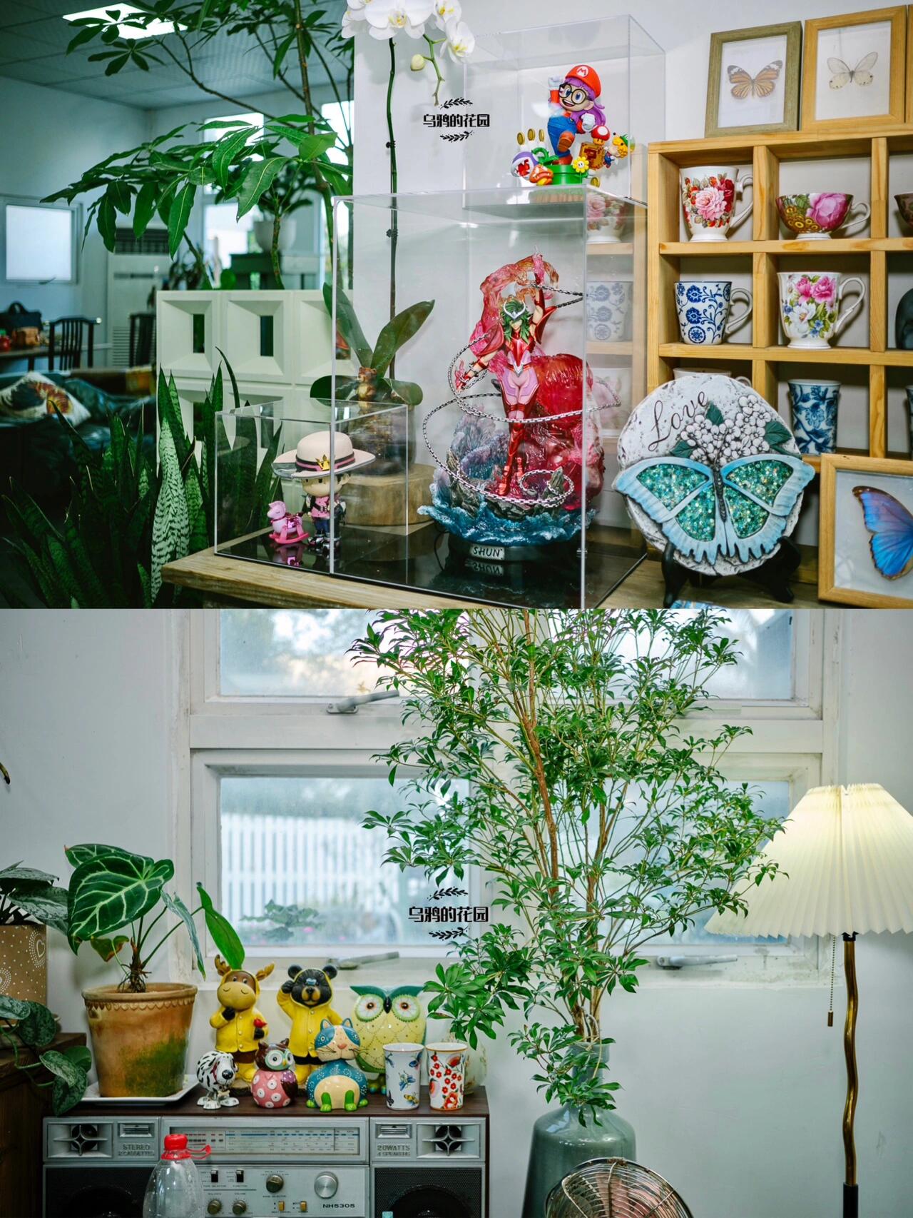 https://static.ixuenong.com/pxn/uploads/prod/thirdfile/2024/12/839c8f5c186e2e3551146cf71fde45dd.jpg