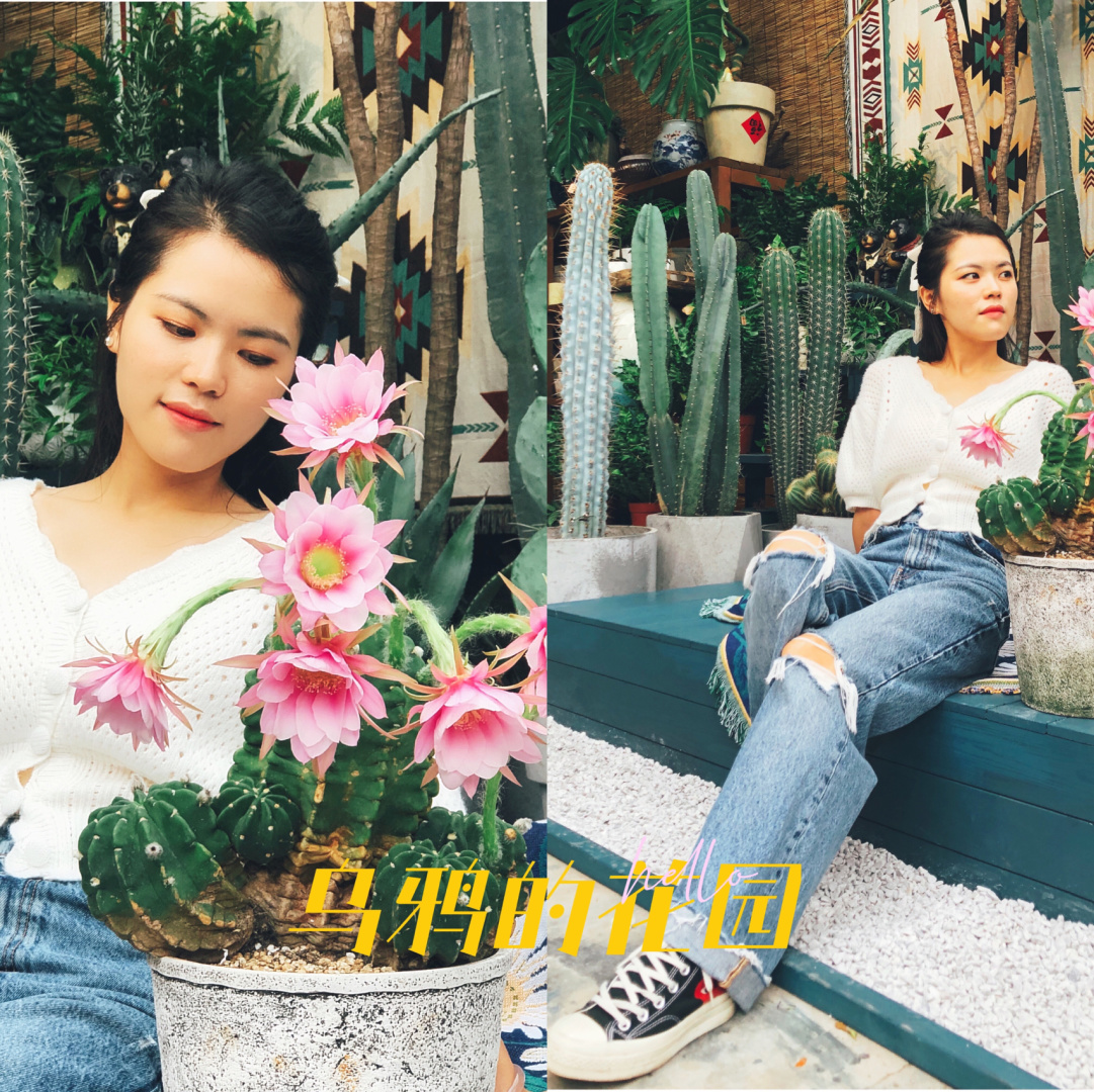 https://static.ixuenong.com/pxn/uploads/prod/thirdfile/2024/12/87cb52fcd26fad56874b7565ac7cfb4f.jpg