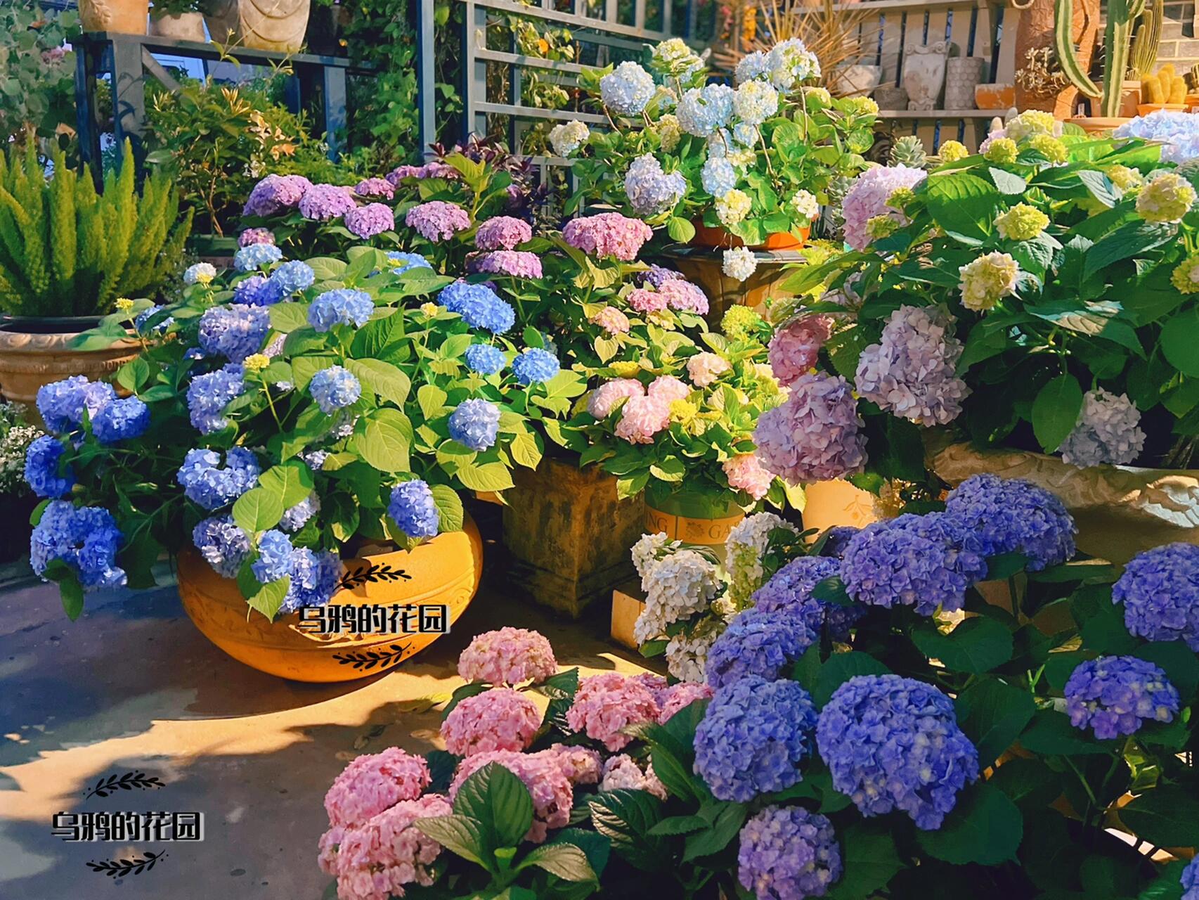 https://static.ixuenong.com/pxn/uploads/prod/thirdfile/2024/12/8ad135b807100b6243533800f0de7965.jpg