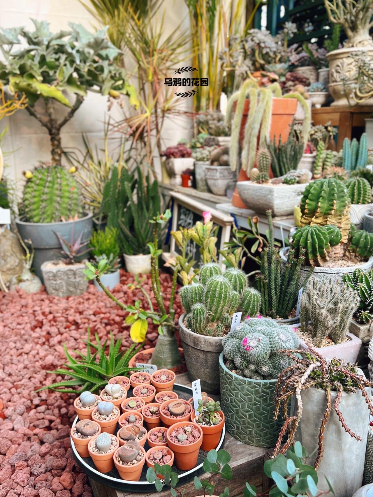 https://static.ixuenong.com/pxn/uploads/prod/thirdfile/2024/12/a4157a147fd82d1c88828c860aa31e71.jpg
