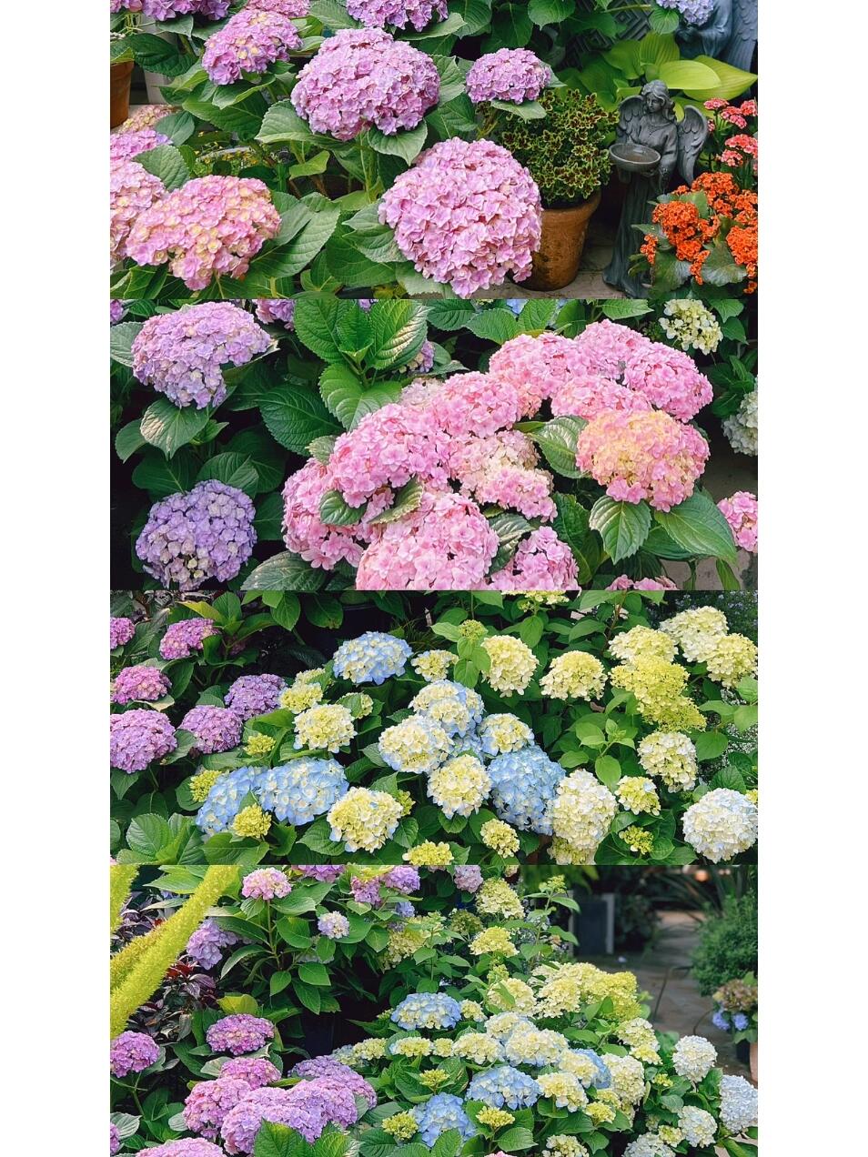 https://static.ixuenong.com/pxn/uploads/prod/thirdfile/2024/12/a7a74ad7c4af6a9799206243c51ad4f7.jpg