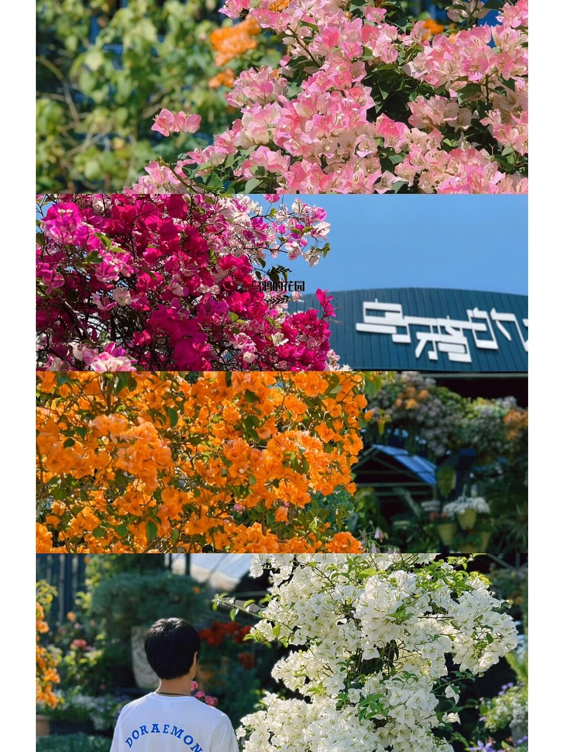 https://static.ixuenong.com/pxn/uploads/prod/thirdfile/2024/12/a9acb82c26baece951e079483e249189.jpg