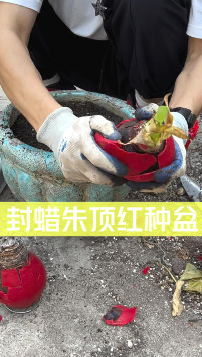 춥ô