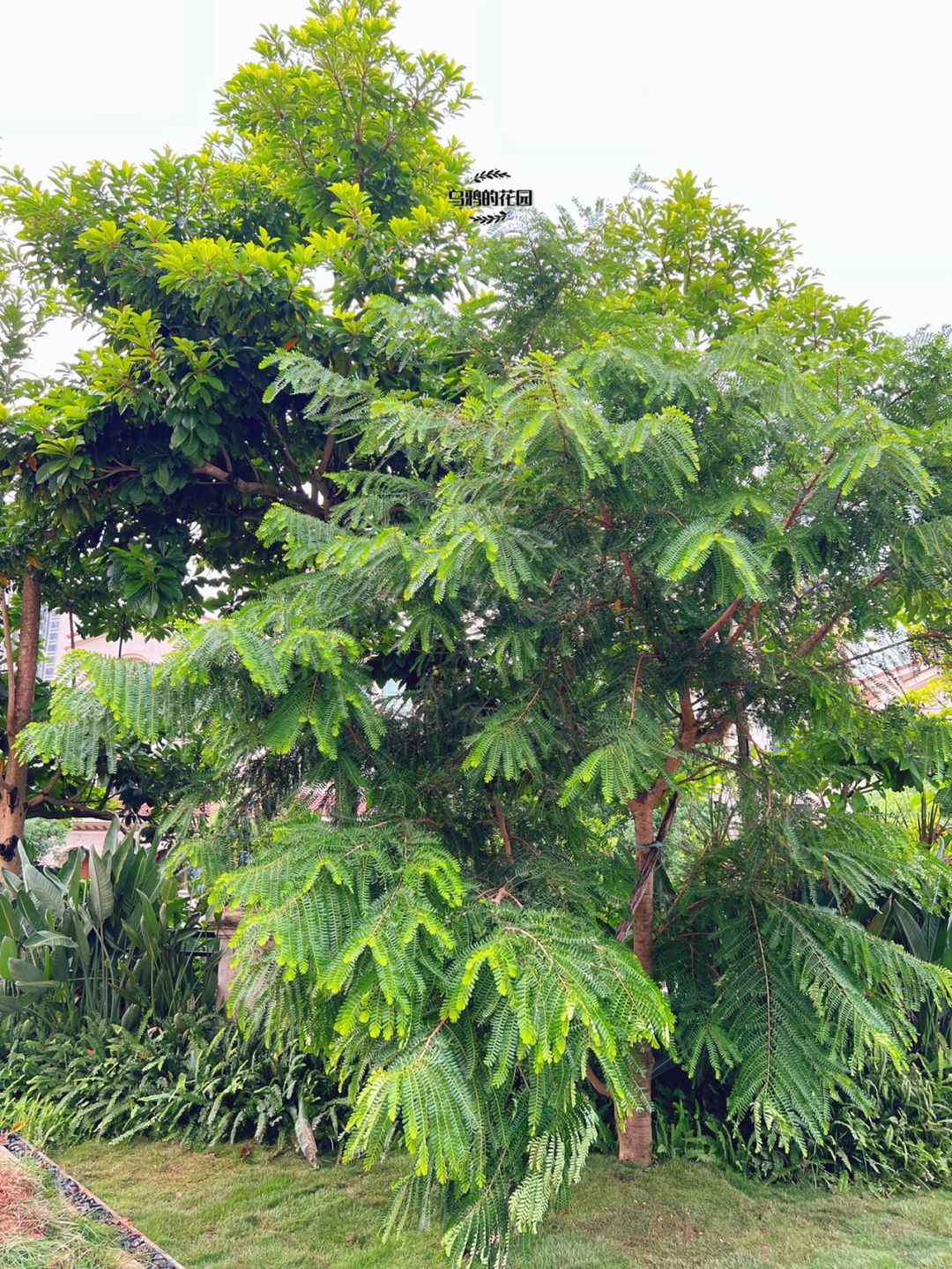https://static.ixuenong.com/pxn/uploads/prod/thirdfile/2024/12/b04657c50dd34106da49532577ebb446.jpg