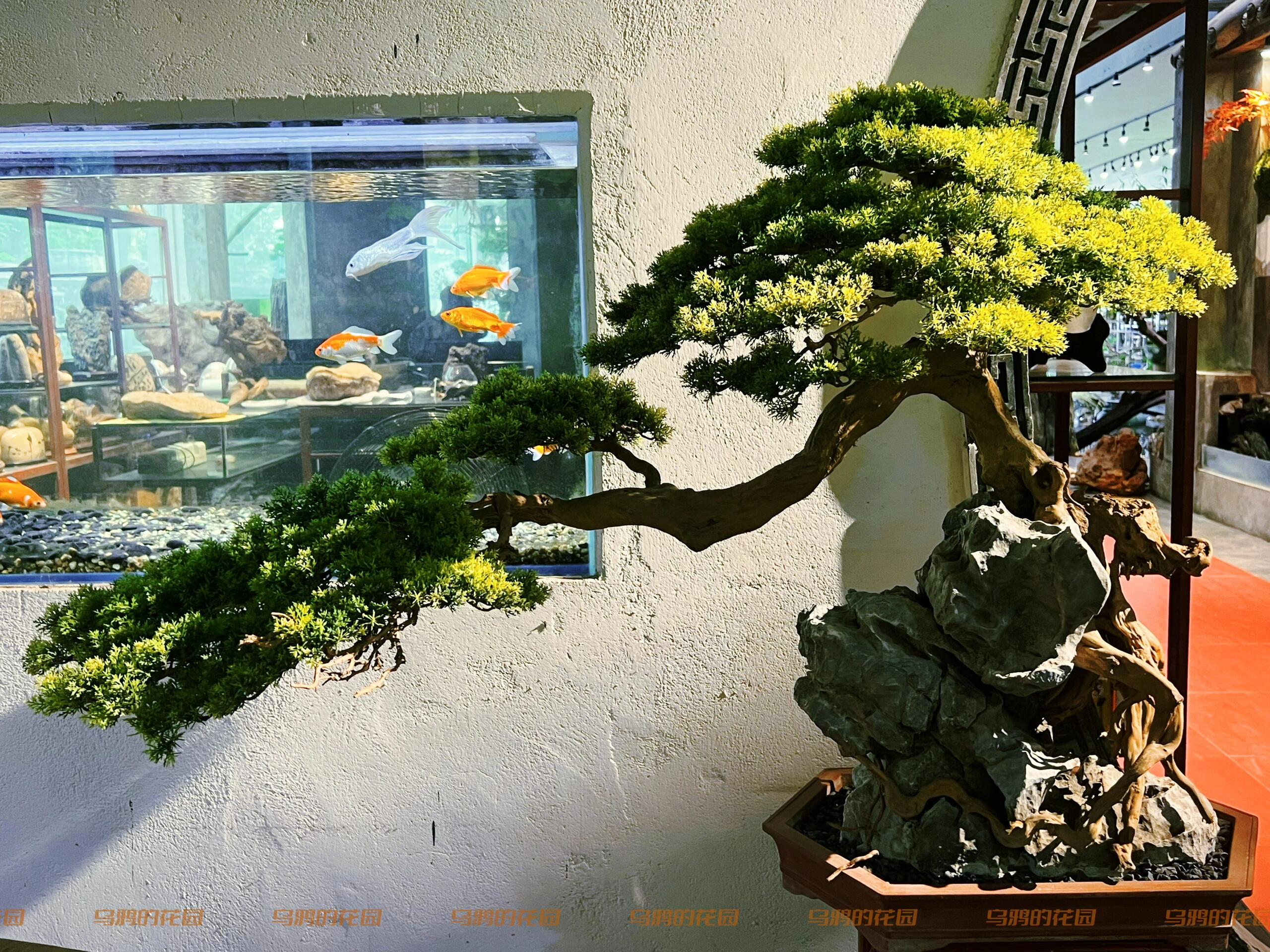 https://static.ixuenong.com/pxn/uploads/prod/thirdfile/2024/12/b1d4a3fb1f593b66fdbf277d41e0e092.jpg
