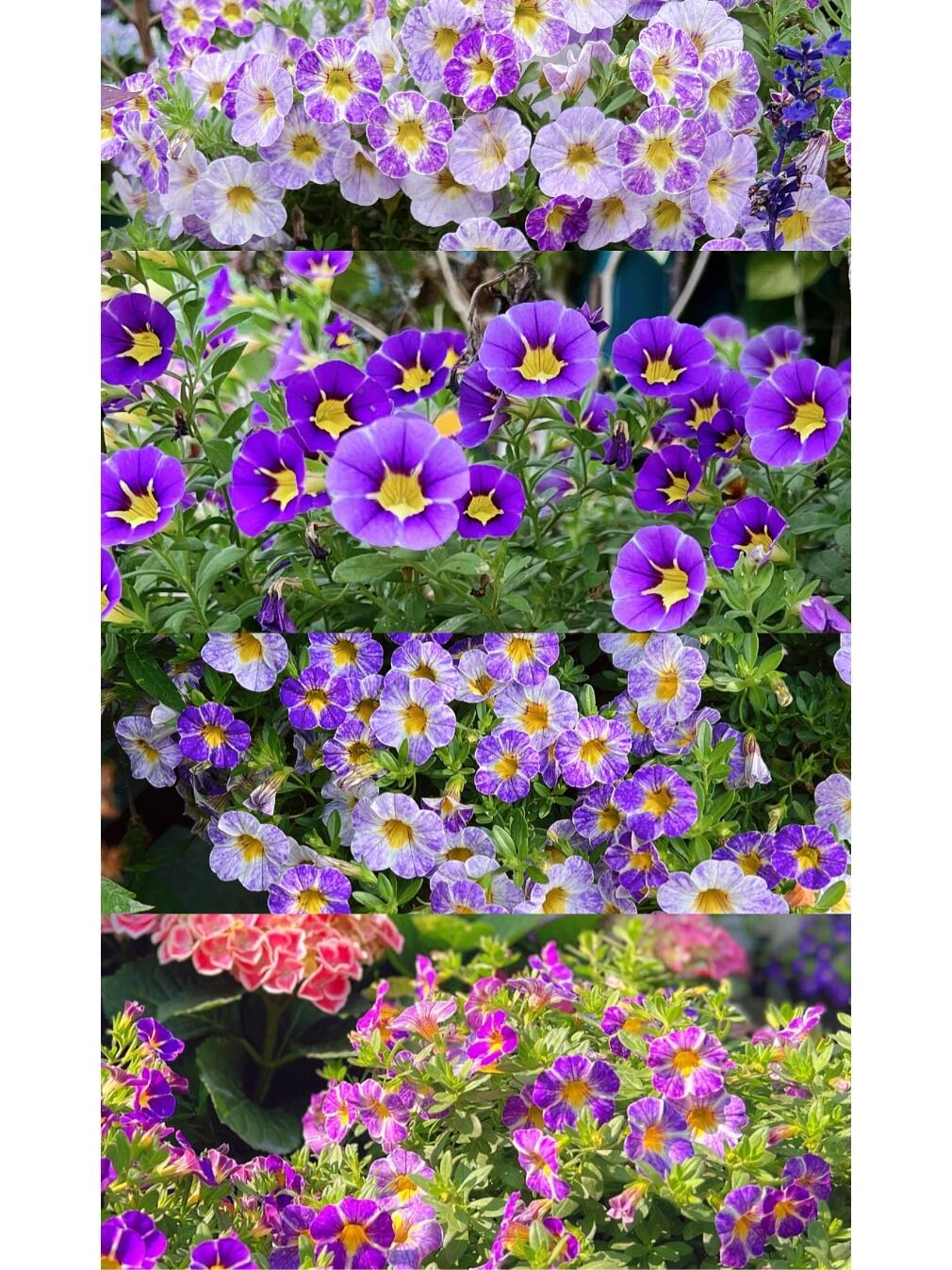 https://static.ixuenong.com/pxn/uploads/prod/thirdfile/2024/12/b422fb1fc8dca173f6fb1bfabf49ddc3.jpg