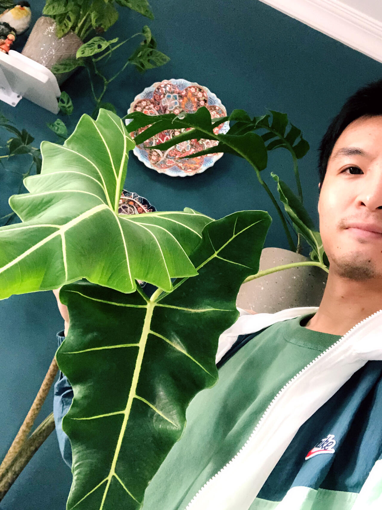 https://static.ixuenong.com/pxn/uploads/prod/thirdfile/2024/12/c170e30cc0068a0ec01717f0923901e4.jpg