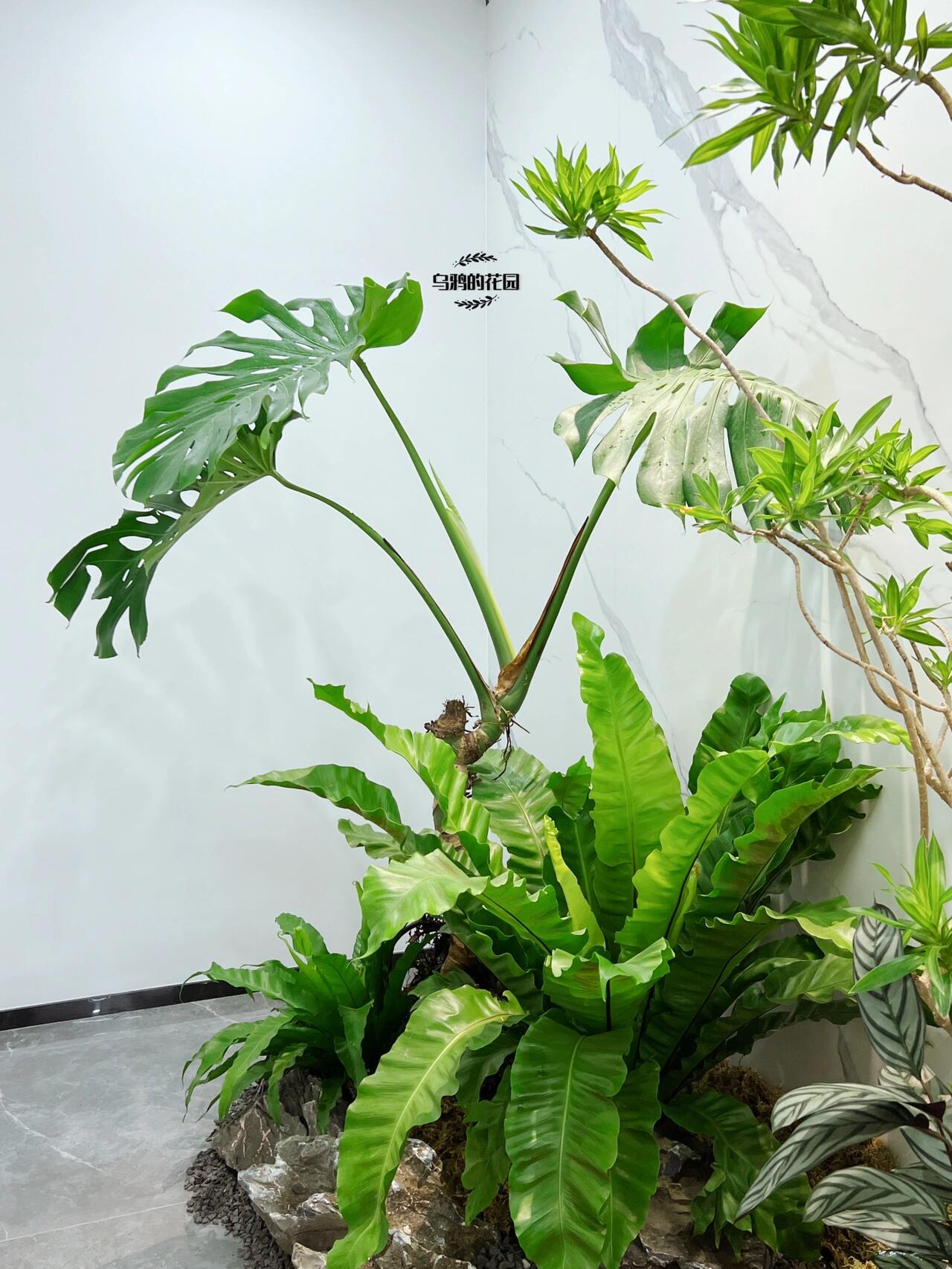 https://static.ixuenong.com/pxn/uploads/prod/thirdfile/2024/12/db5a9904a3126d68ab5d19b4fb07ddfd.jpg