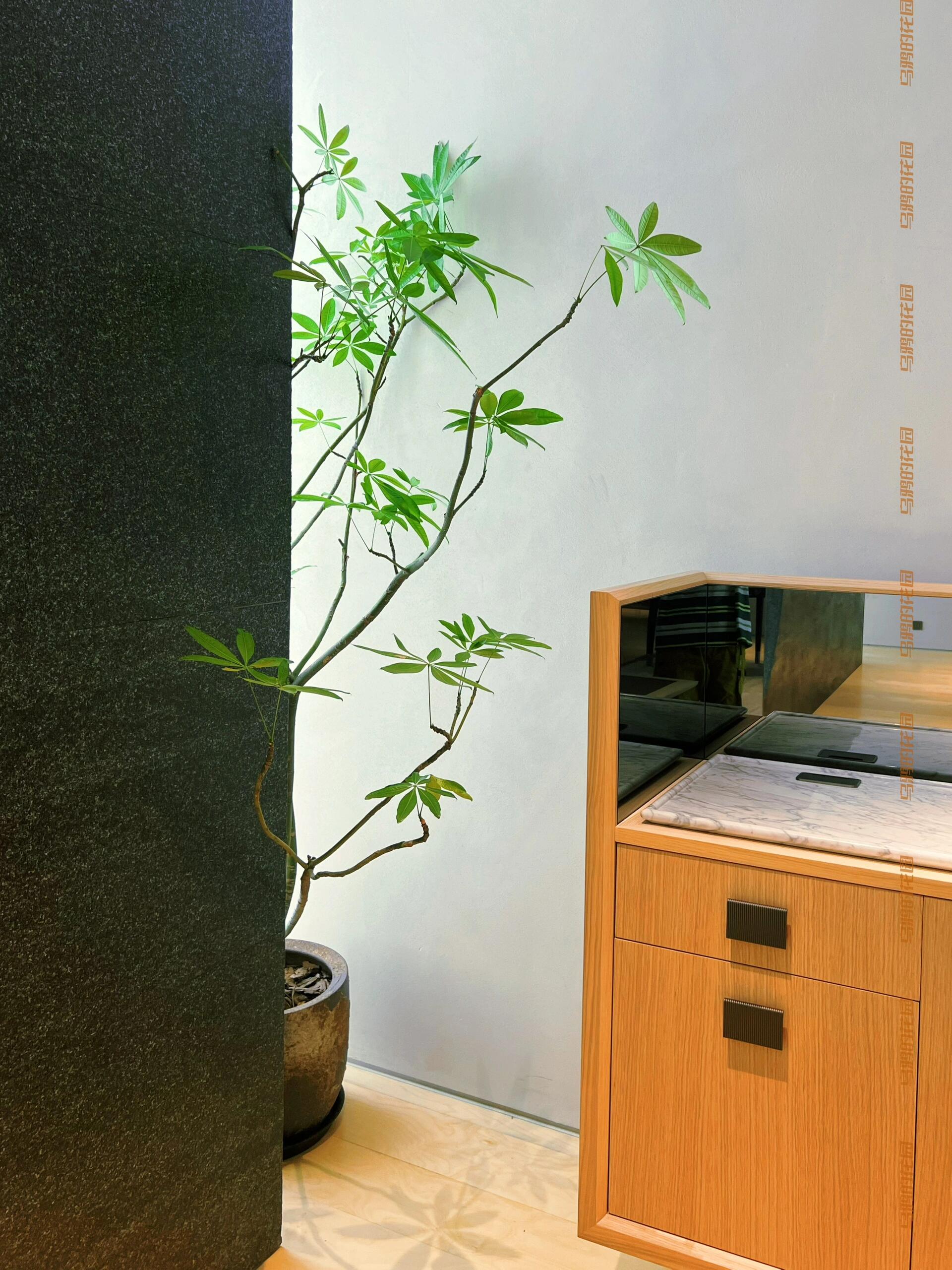 https://static.ixuenong.com/pxn/uploads/prod/thirdfile/2024/12/dc72b1b1ac7aa31ae792a0a32e4aa9e1.jpg