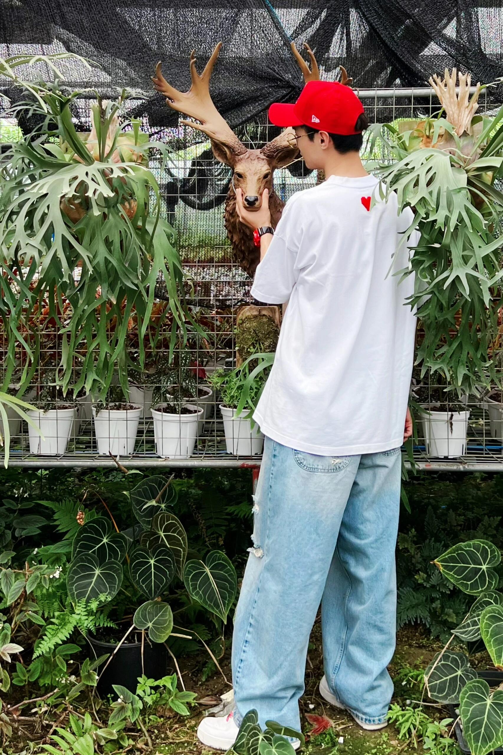 https://static.ixuenong.com/pxn/uploads/prod/thirdfile/2024/12/dce6e0471ee2586fa62a425aa1266ac6.jpg