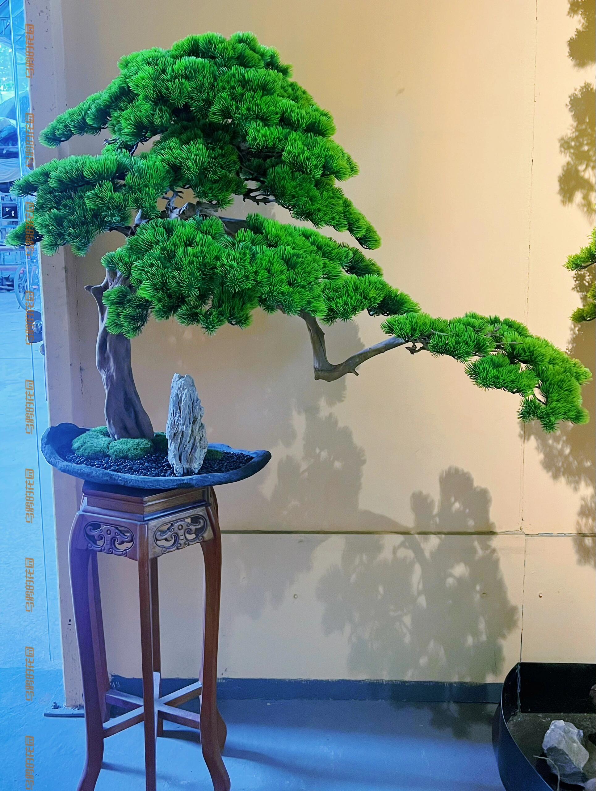 https://static.ixuenong.com/pxn/uploads/prod/thirdfile/2024/12/dfe5038d13b448d6fa39e917590ca9c7.jpg
