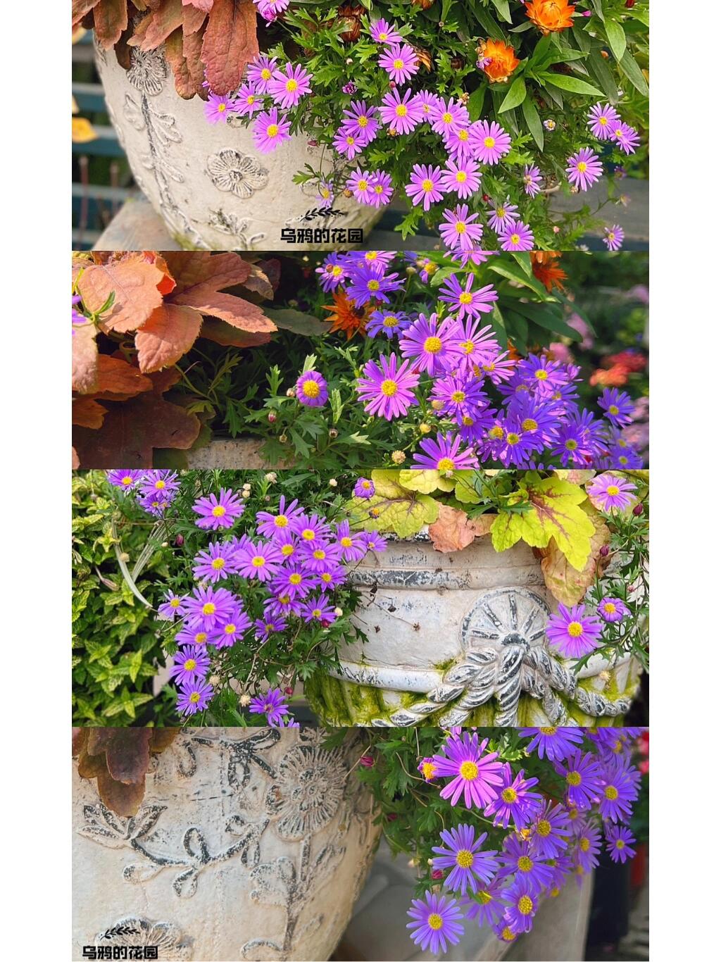 https://static.ixuenong.com/pxn/uploads/prod/thirdfile/2024/12/e1546553eca267a7742af120817ad07a.jpg