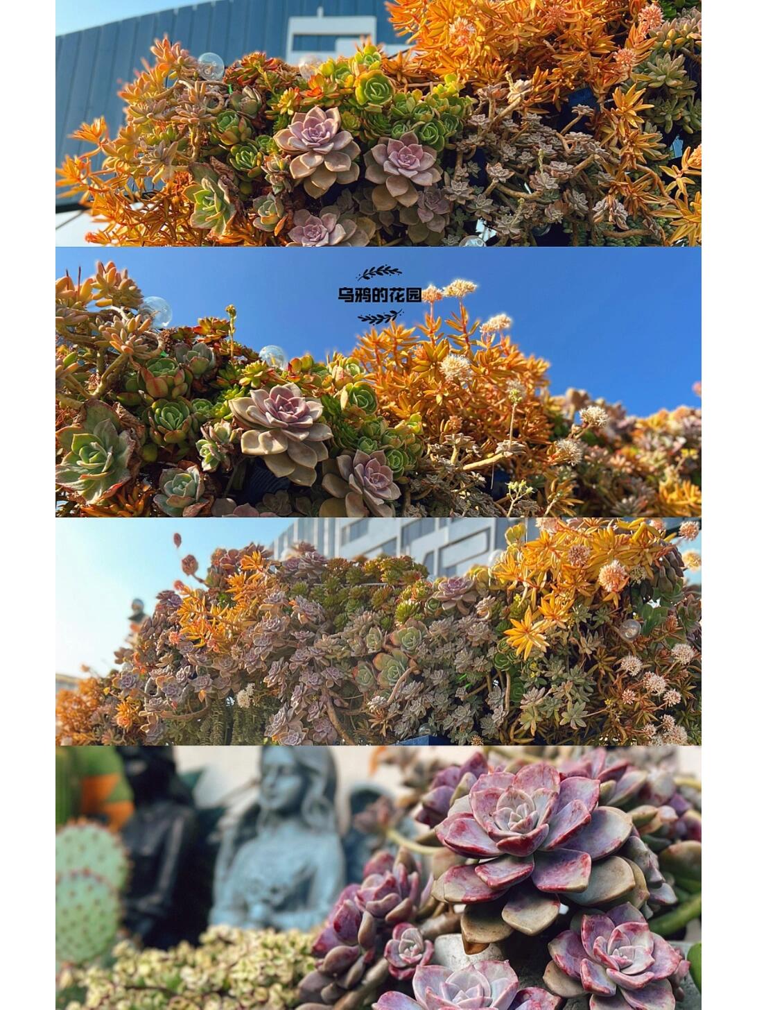 https://static.ixuenong.com/pxn/uploads/prod/thirdfile/2024/12/e6303f0127cb61d39756f583b3a1aea5.jpg