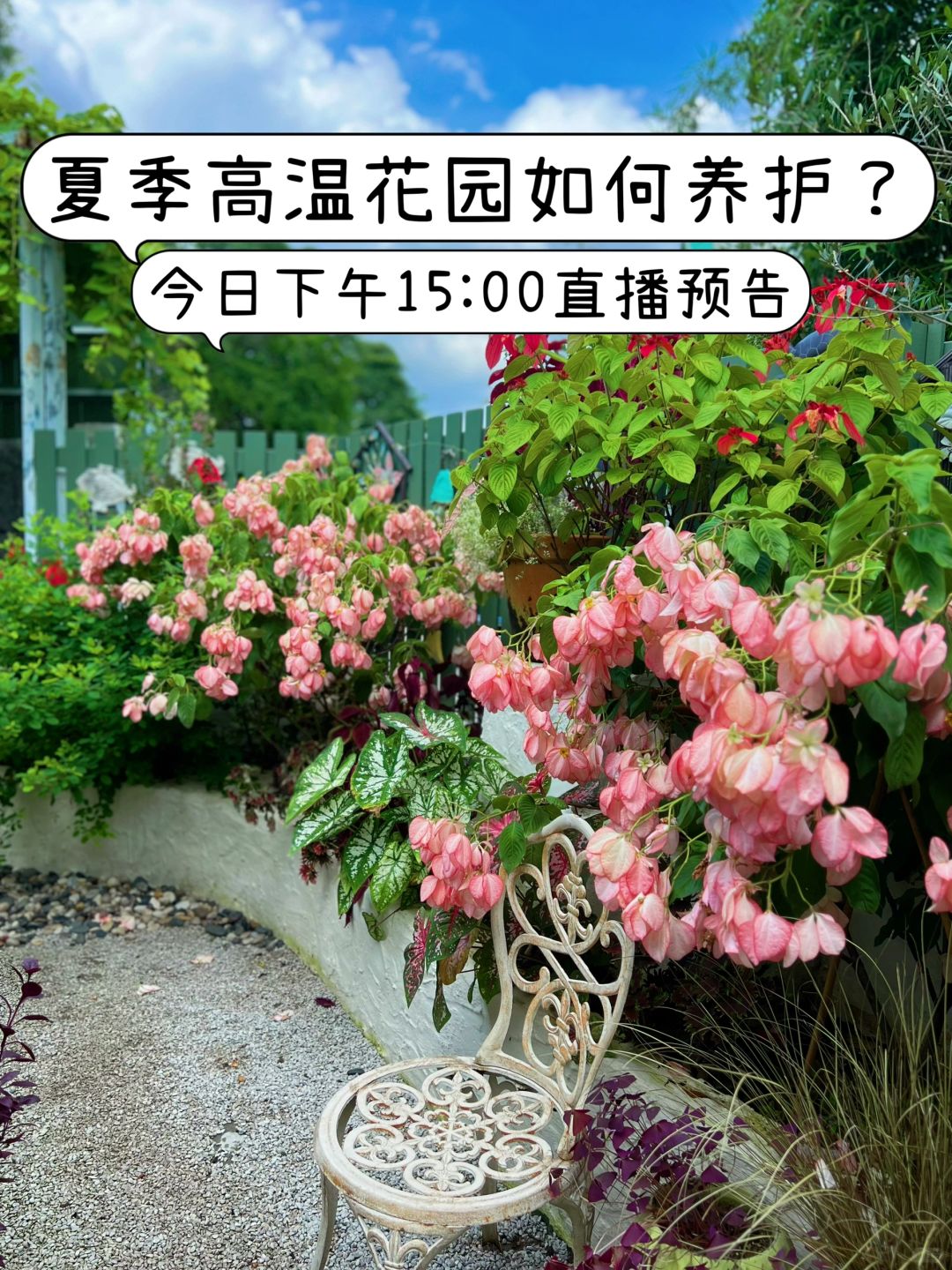 https://static.ixuenong.com/pxn/uploads/prod/thirdfile/2024/12/e6558e5a0da5339efd6650a934a78eda.jpg