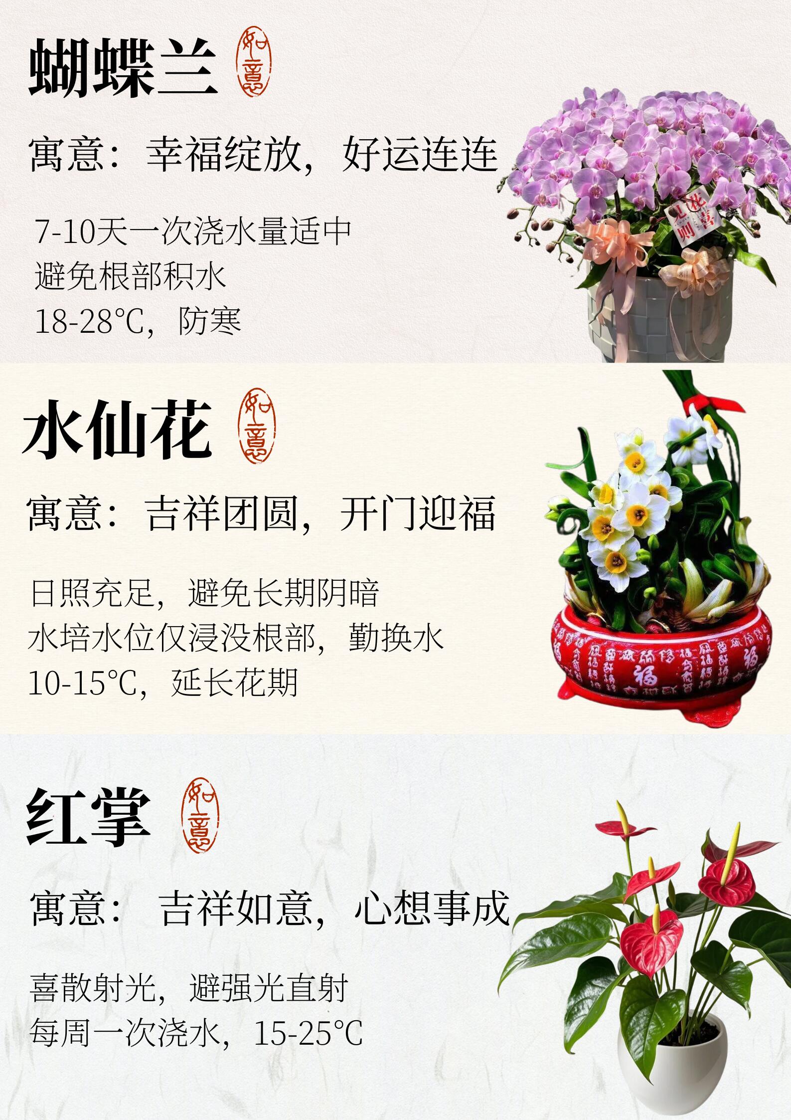 https://static.ixuenong.com/pxn/uploads/prod/thirdfile/2024/12/e784a752255650cc9e68eb87a6d80644.jpg