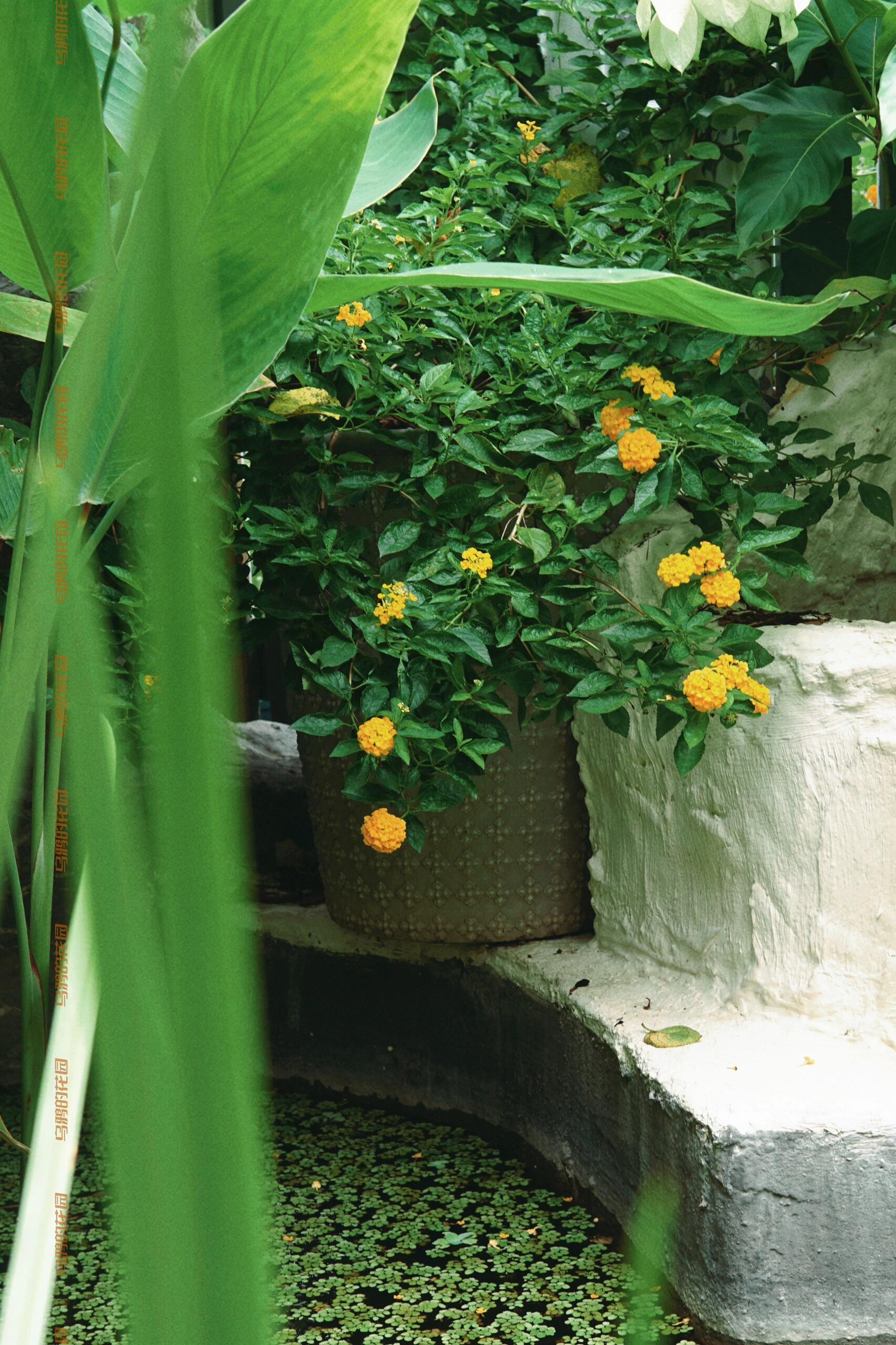 https://static.ixuenong.com/pxn/uploads/prod/thirdfile/2024/12/ee7dd50932ec8a9b3c5674b9b1eb0915.jpg