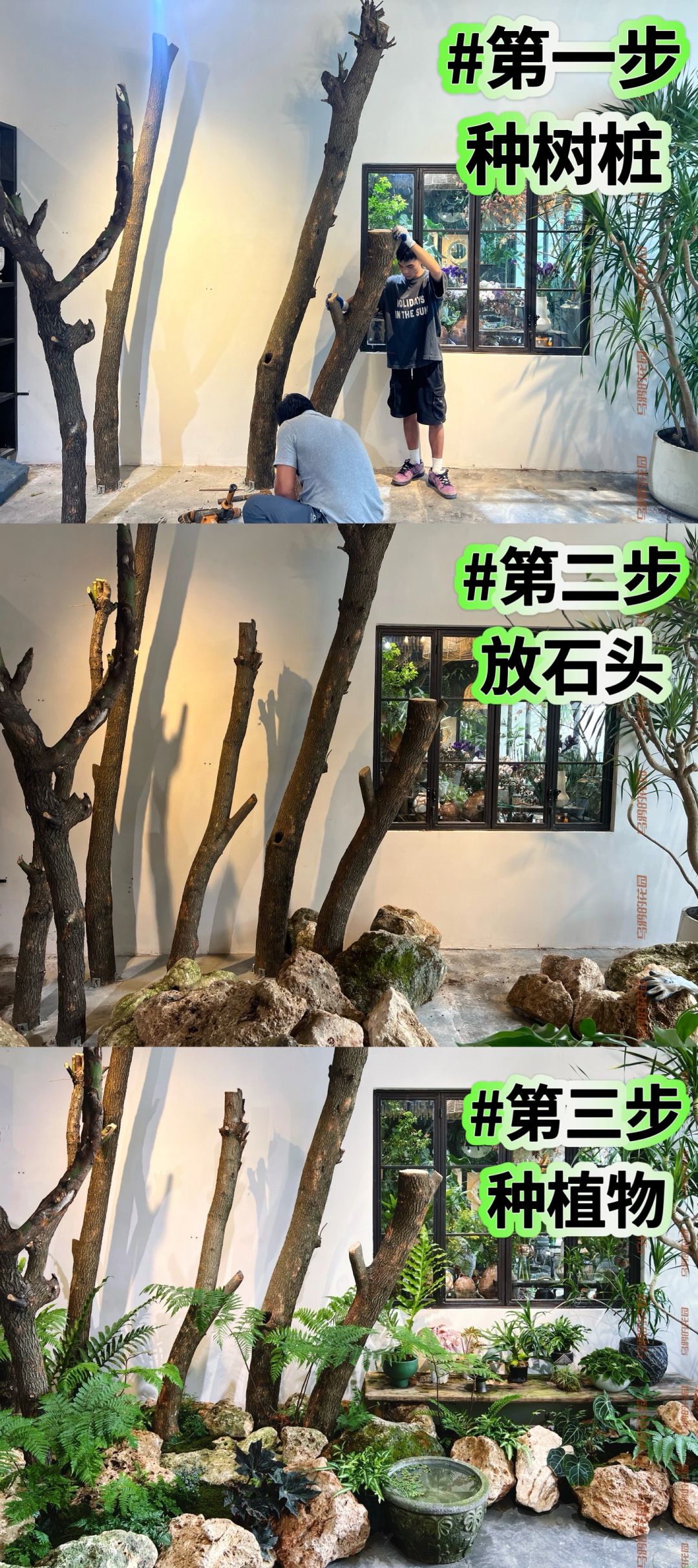 https://static.ixuenong.com/pxn/uploads/prod/thirdfile/2025/01/0383a317c54fef4a710267b8753e7c34.jpg