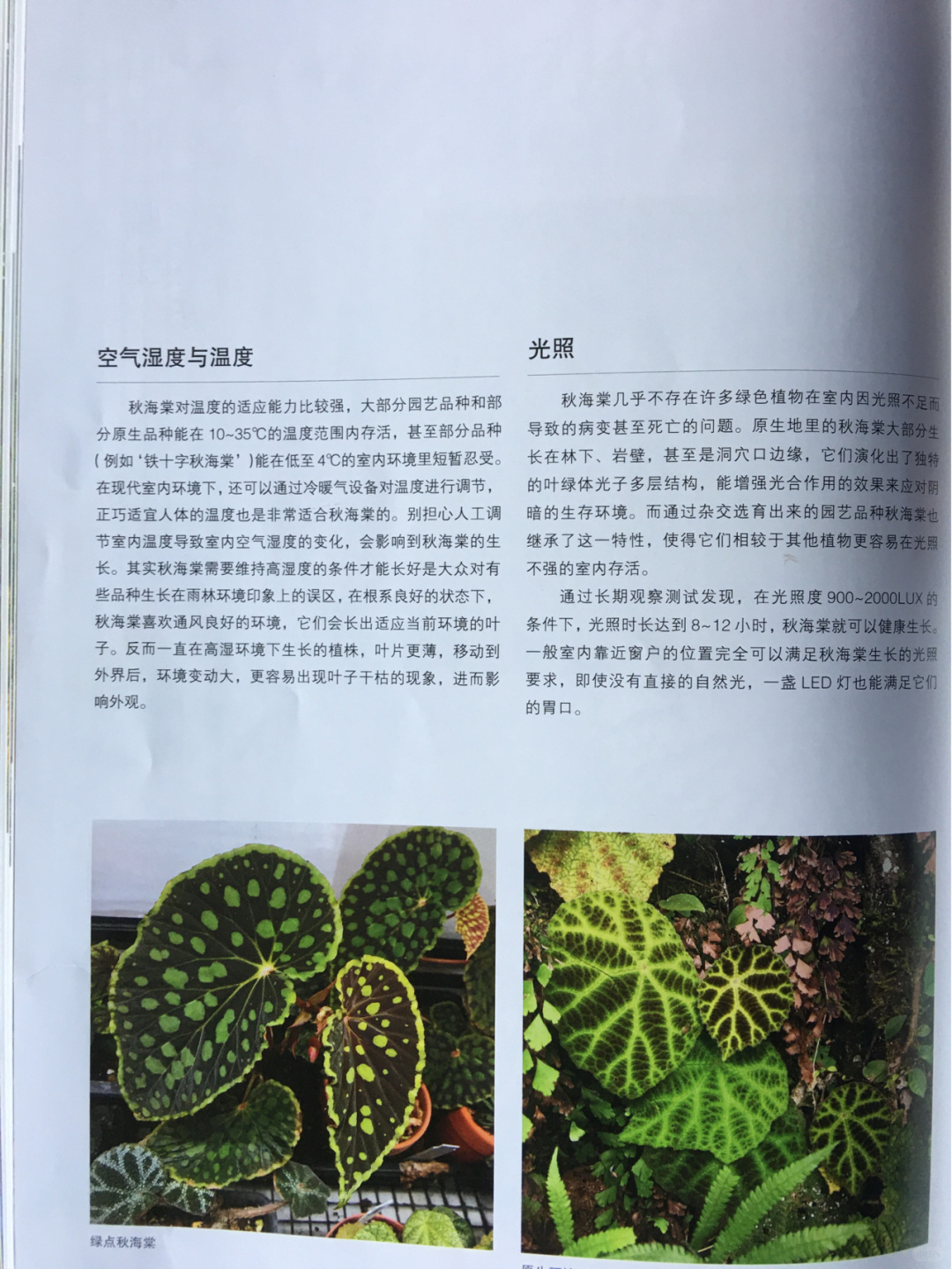 https://static.ixuenong.com/pxn/uploads/prod/thirdfile/2025/01/10ad62ecb8fc869a2a1631c37865b07f.jpg