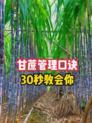 ھ30̻ǵõС##ũҵ#