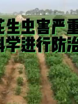 ڻ溦ЧҪѡöҩΡ