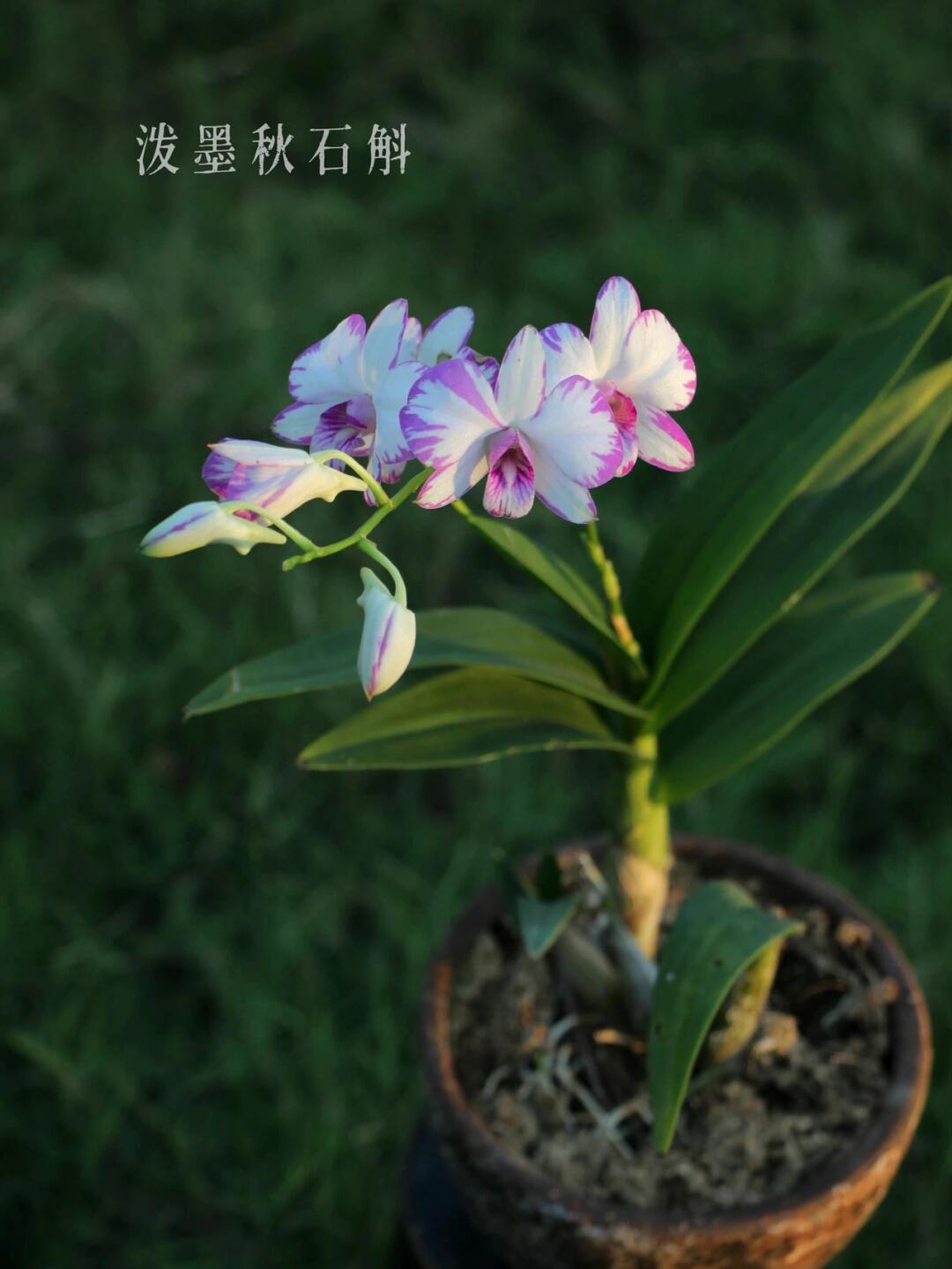 https://static.ixuenong.com/pxn/uploads/prod/thirdfile/2025/01/34376fe0860d3259f7dcee950df72b2e.jpg