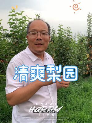 高温38，到了费县盘石谭树宝梨园，清爽！#梨园#高温 #2024新农人计划 @苗姐逛果园