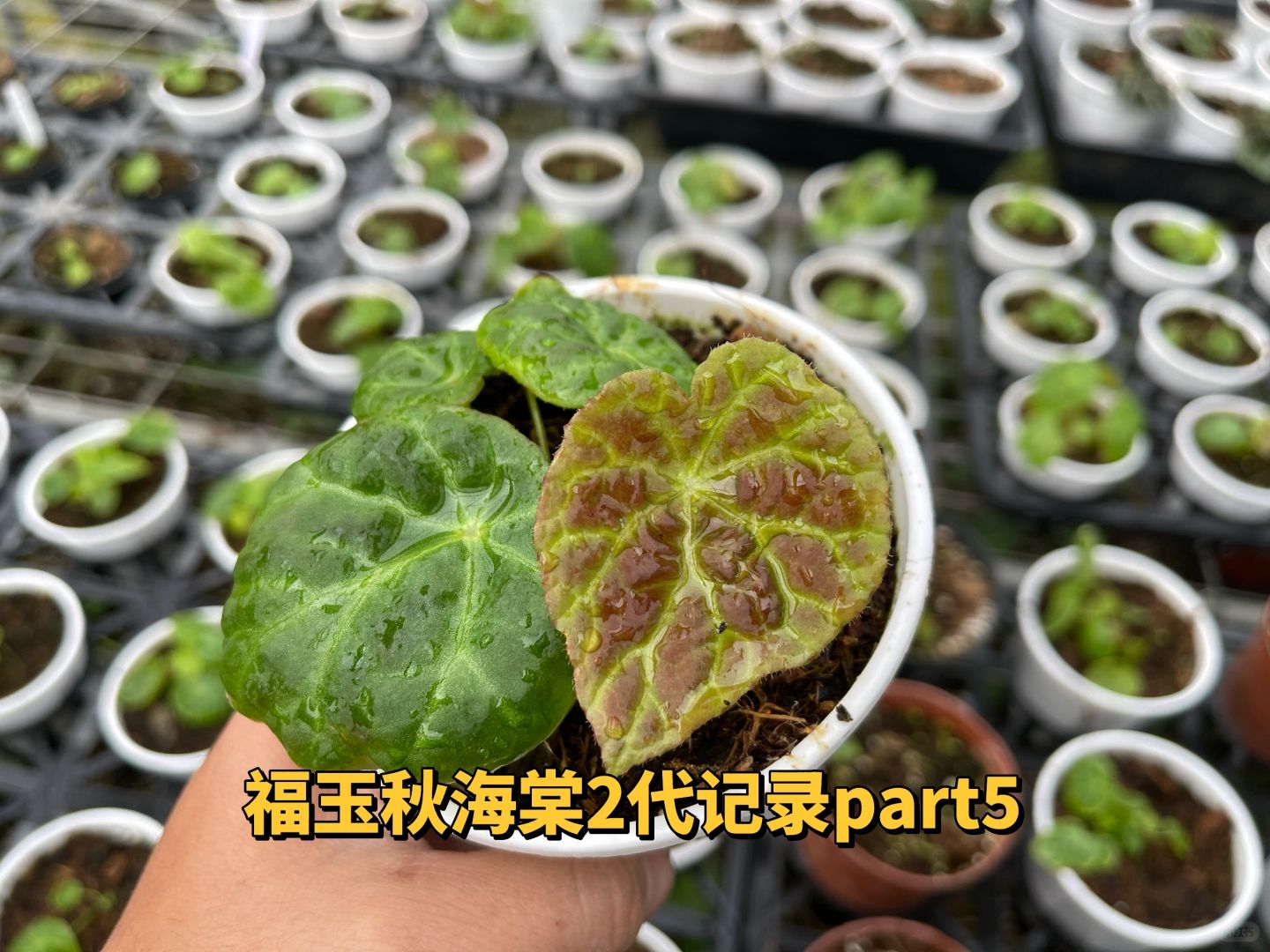 https://static.ixuenong.com/pxn/uploads/prod/thirdfile/2025/01/4114f7e8ffc0f08d10eb42b02cba39cd.jpg