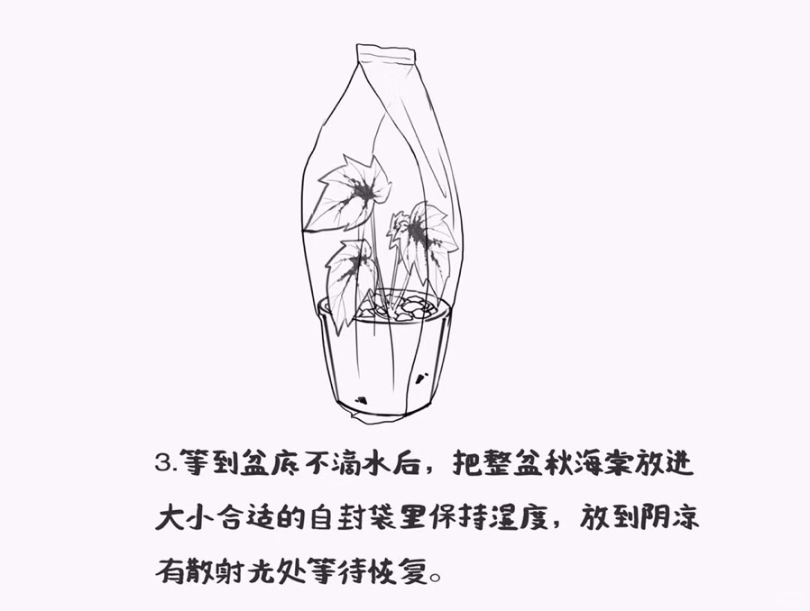 https://static.ixuenong.com/pxn/uploads/prod/thirdfile/2025/01/441ba94b712f93b3792d3dac61f5f7b0.jpg