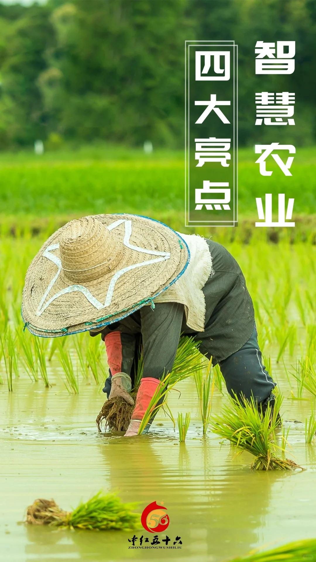 https://static.ixuenong.com/pxn/uploads/prod/thirdfile/2025/01/449d9a0f614d1272f04ebb6d0e2e4be6.jpg