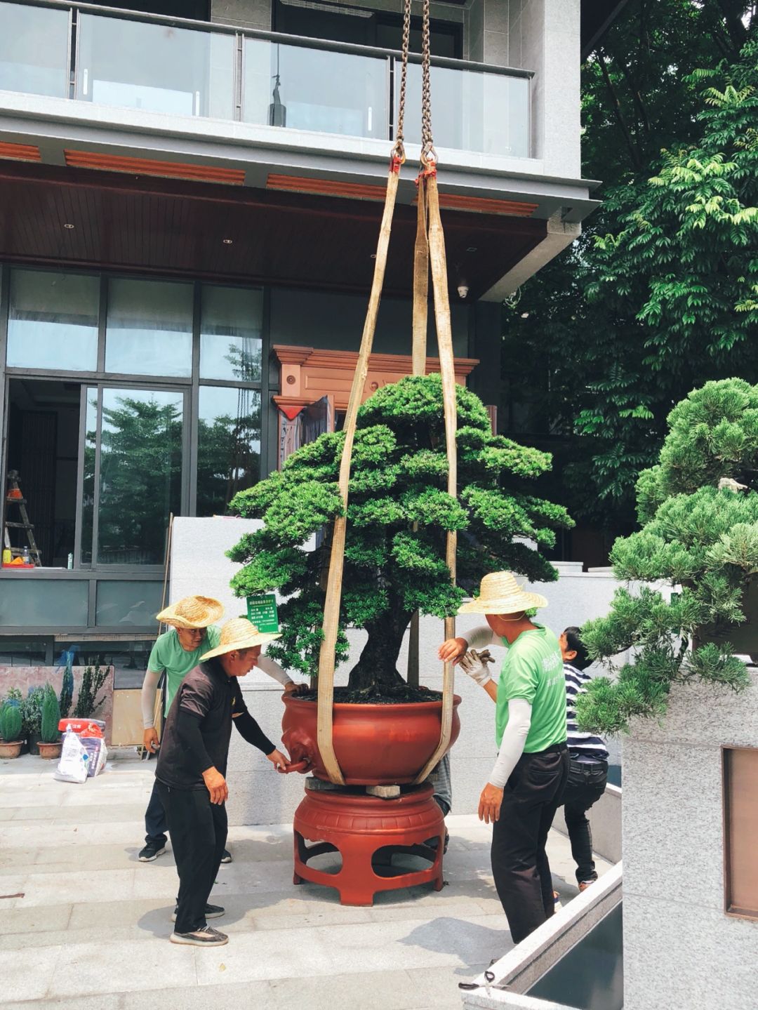 https://static.ixuenong.com/pxn/uploads/prod/thirdfile/2025/01/470024183bbf0c08b0533e296c7415b9.jpg