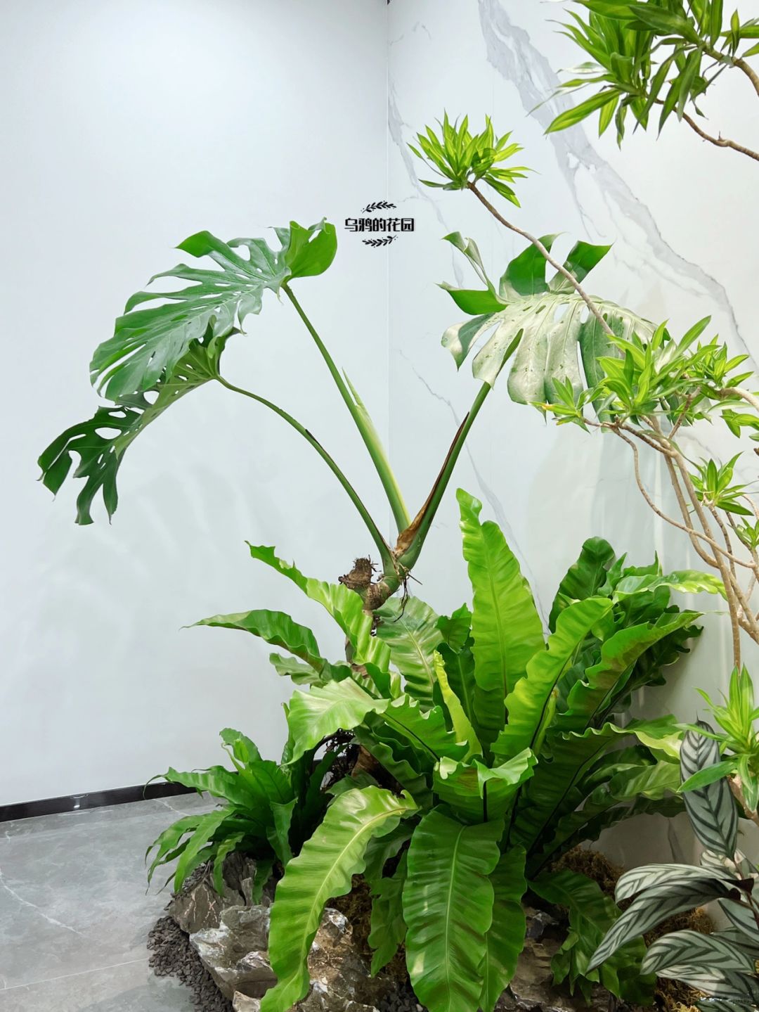 https://static.ixuenong.com/pxn/uploads/prod/thirdfile/2025/01/4b974548875149c9f10ec1e4f7d78db2.jpg