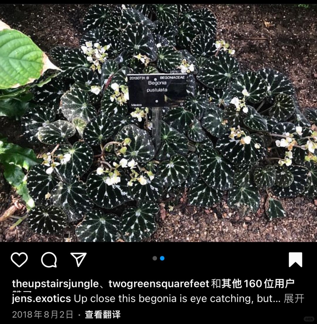 https://static.ixuenong.com/pxn/uploads/prod/thirdfile/2025/01/4da662cce1fec7643a787032a40040e4.jpg
