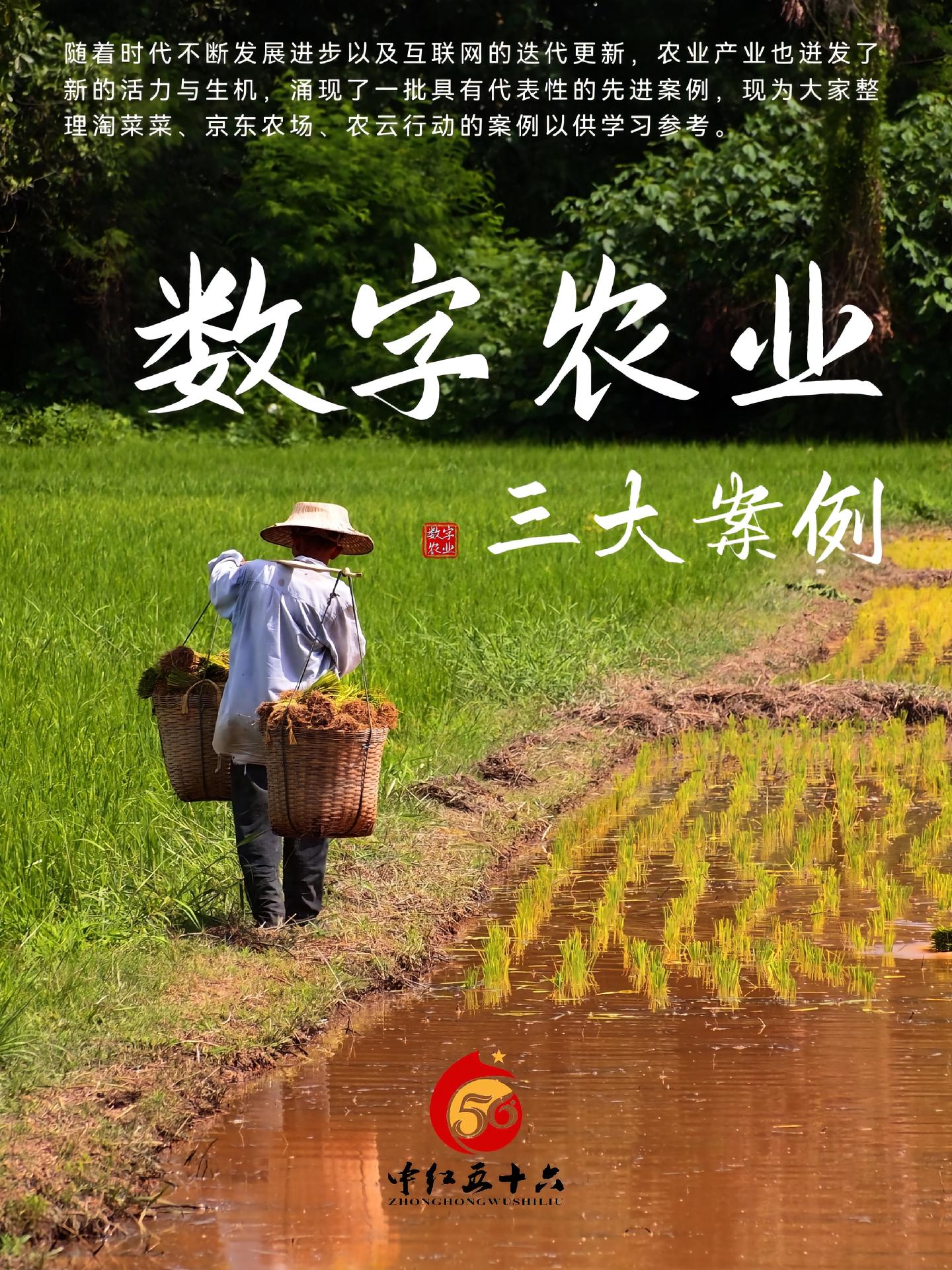 https://static.ixuenong.com/pxn/uploads/prod/thirdfile/2025/01/5194018a4a8f8565c1d5e4e12d70f611.jpg