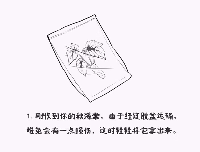 https://static.ixuenong.com/pxn/uploads/prod/thirdfile/2025/01/566efd9d44729bda329860c02a11ecf1.jpg