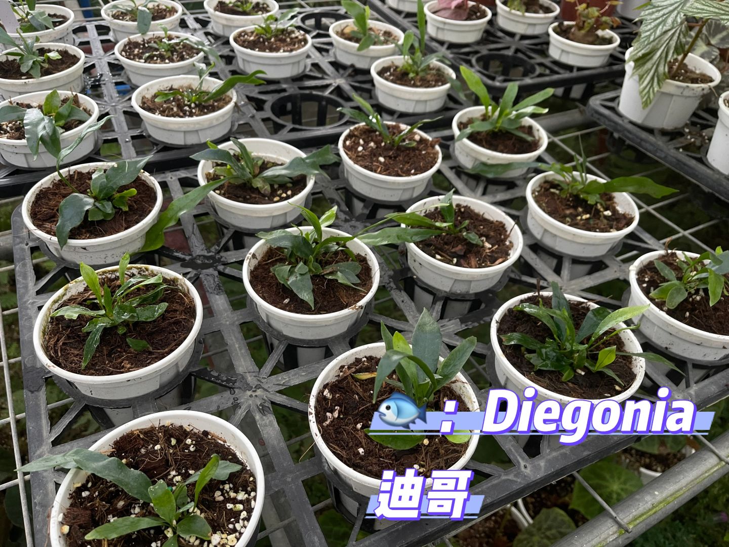 https://static.ixuenong.com/pxn/uploads/prod/thirdfile/2025/01/6075f355c076bde444aebe08e7930a57.jpg