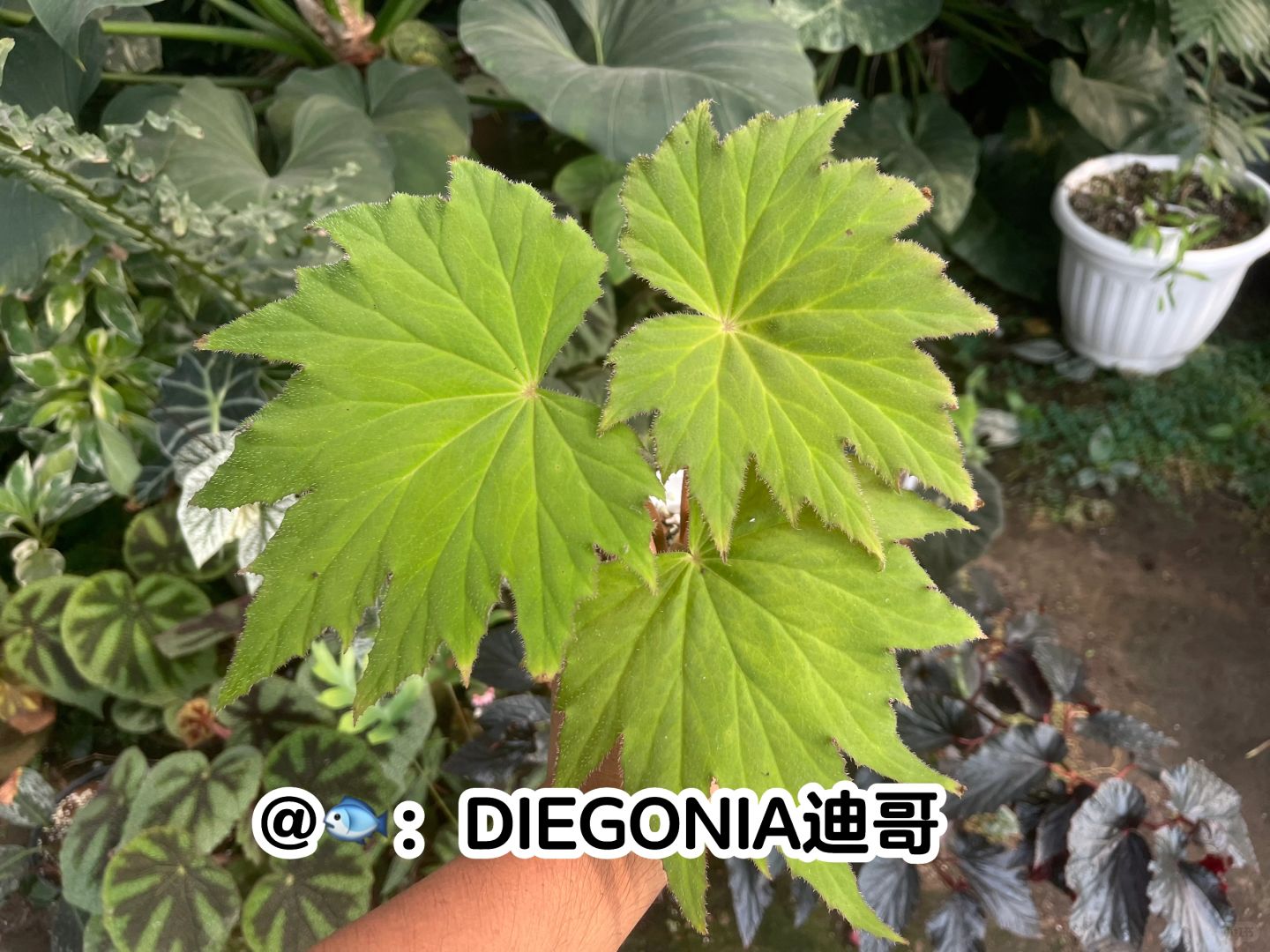 https://static.ixuenong.com/pxn/uploads/prod/thirdfile/2025/01/6c7678df966a449a3e4f8f2fbb00f67b.jpg
