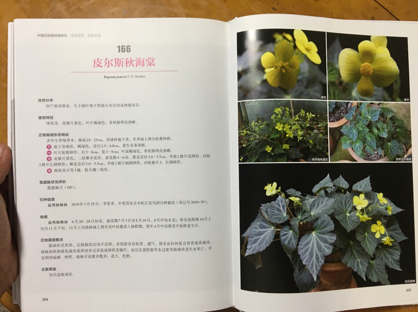 https://static.ixuenong.com/pxn/uploads/prod/thirdfile/2025/01/8012a00e5d562244cd40132c50b328a1.jpg