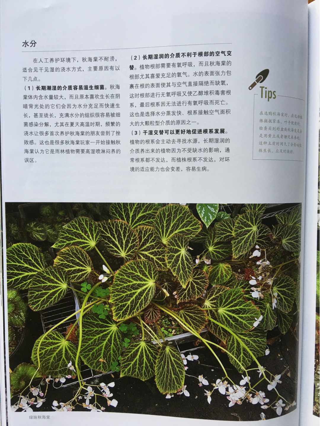 https://static.ixuenong.com/pxn/uploads/prod/thirdfile/2025/01/874e0b3cc062e3cf68e6af9ad0de106f.jpg