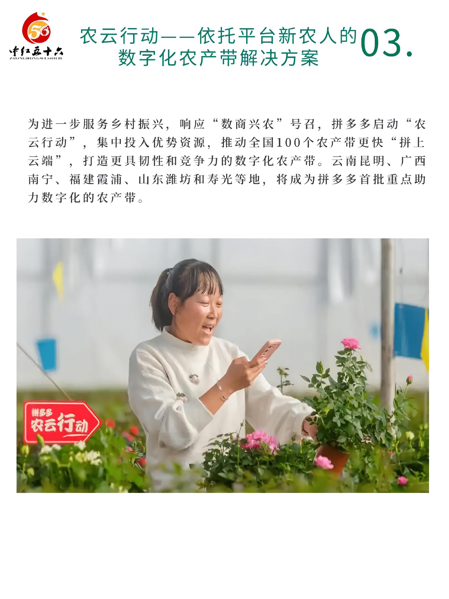 https://static.ixuenong.com/pxn/uploads/prod/thirdfile/2025/01/8a5309ffbacfb82aeb49a4034e3c11cb.jpg