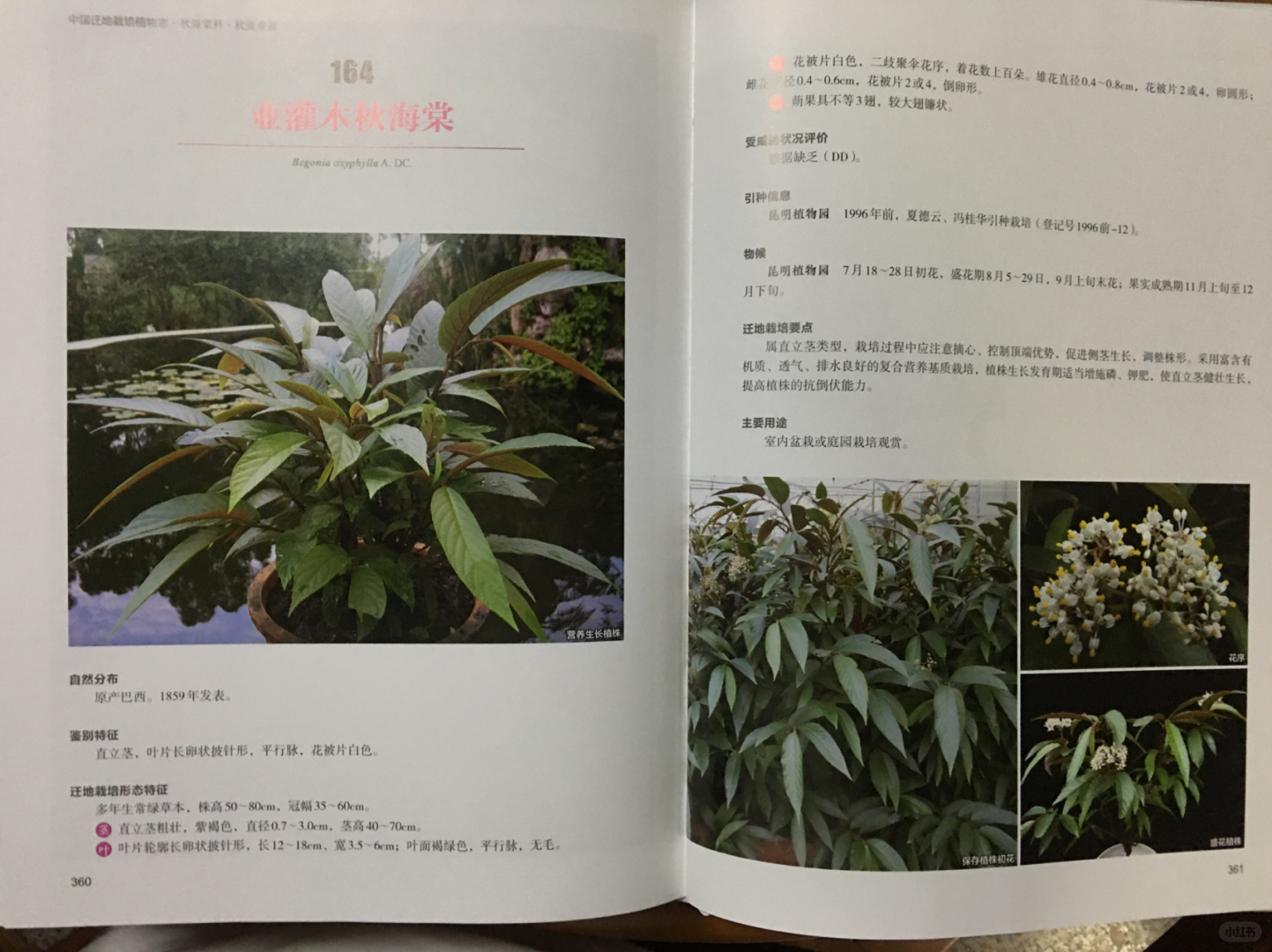 https://static.ixuenong.com/pxn/uploads/prod/thirdfile/2025/01/9906b649404164e1d88c1b280a75391b.jpg