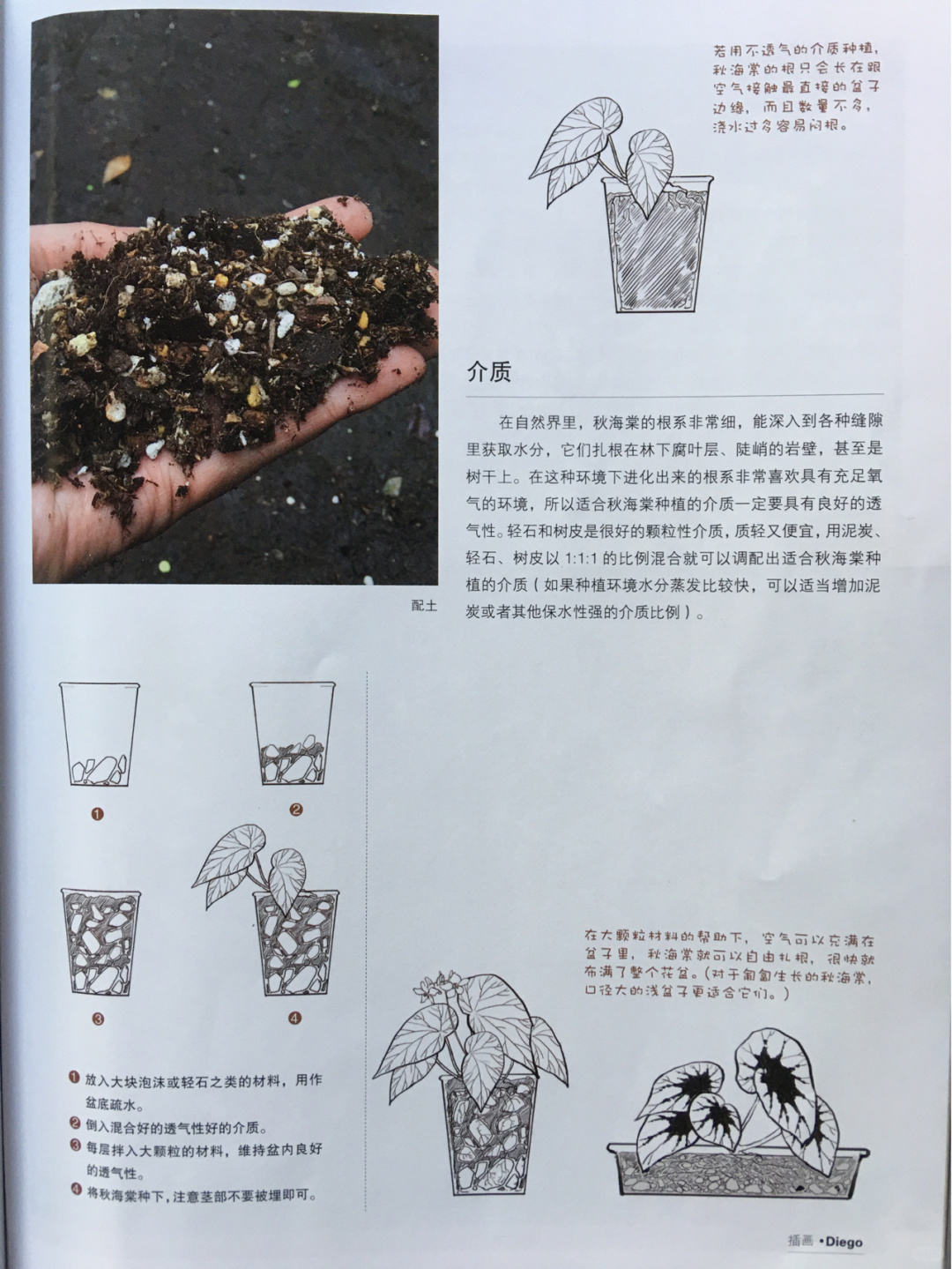 https://static.ixuenong.com/pxn/uploads/prod/thirdfile/2025/01/a7b3ea8fa6c830807d8185b527f6cd7f.jpg