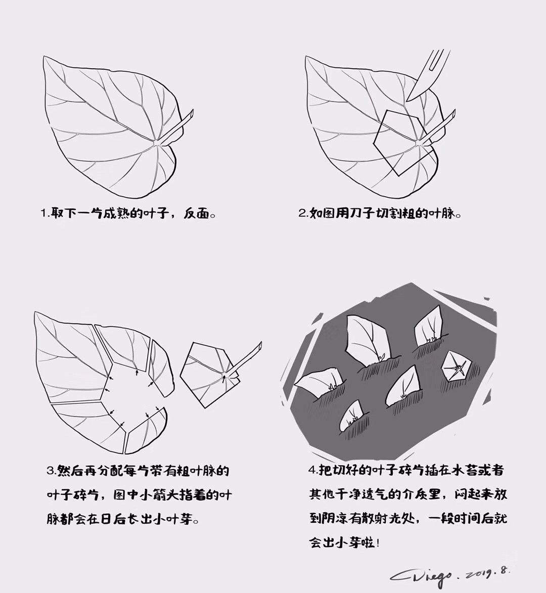 https://static.ixuenong.com/pxn/uploads/prod/thirdfile/2025/01/aa18a2da3ba9c40ed1518aeb681b7bac.jpg